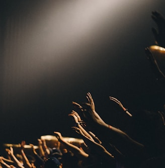 group of people waving their hands