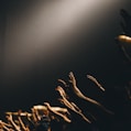 group of people waving their hands