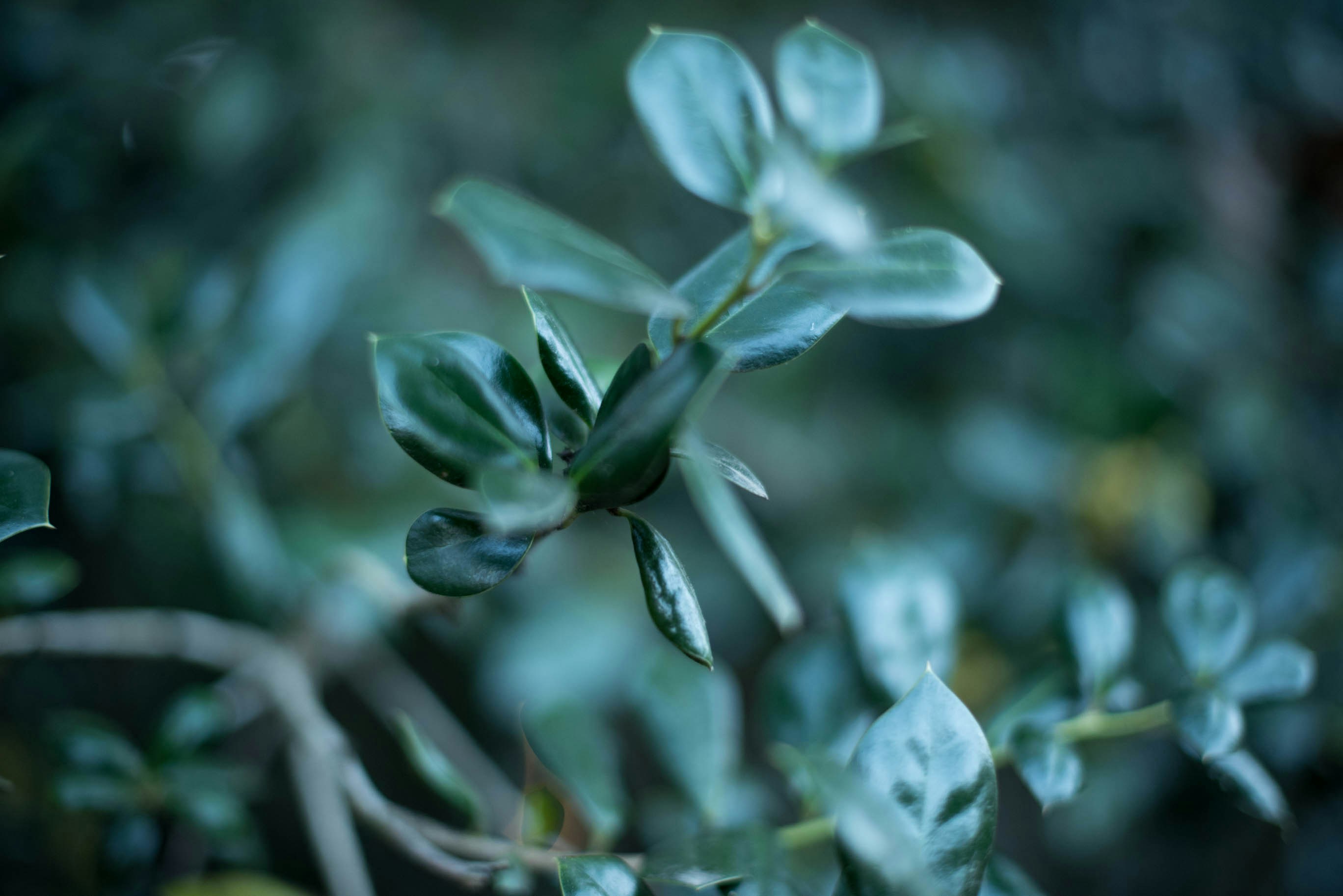 Free Unsplash photo from Madison Watson