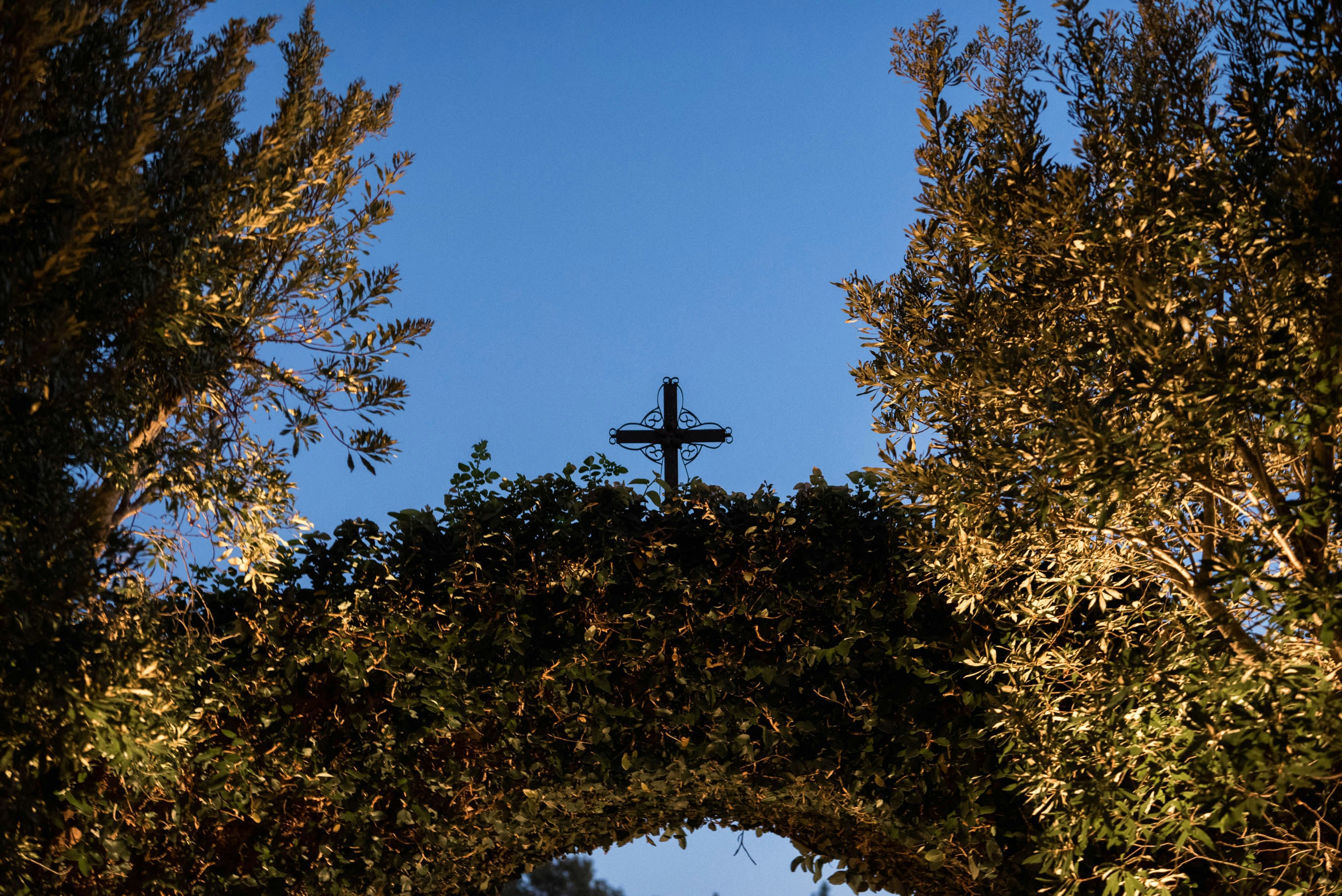 Free Unsplash photo from Madison Watson