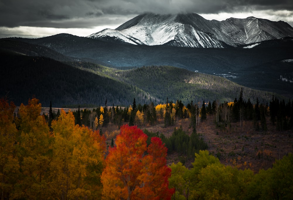 landscape photography of mountains