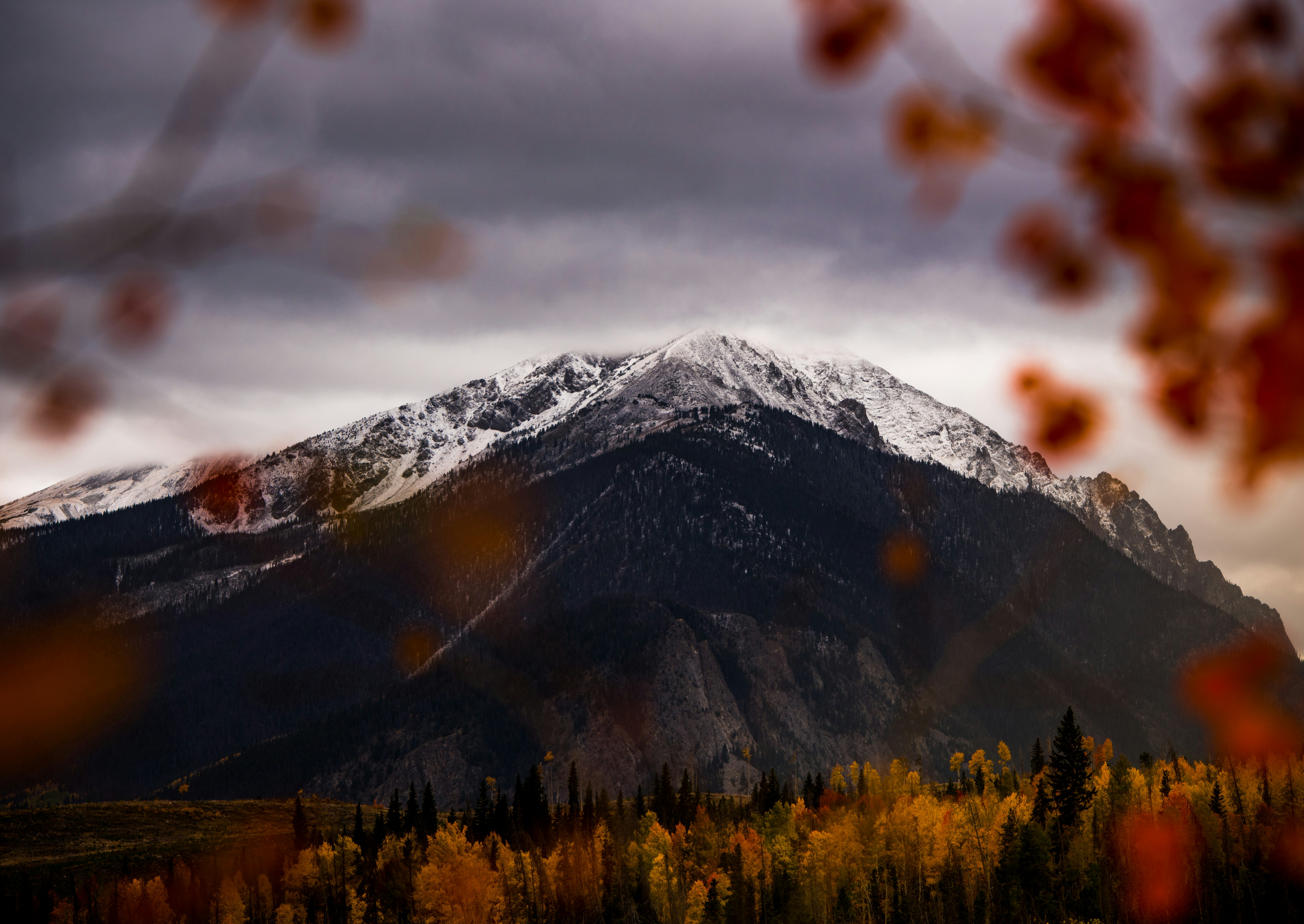 brown mountain surrounded by trees during daytime