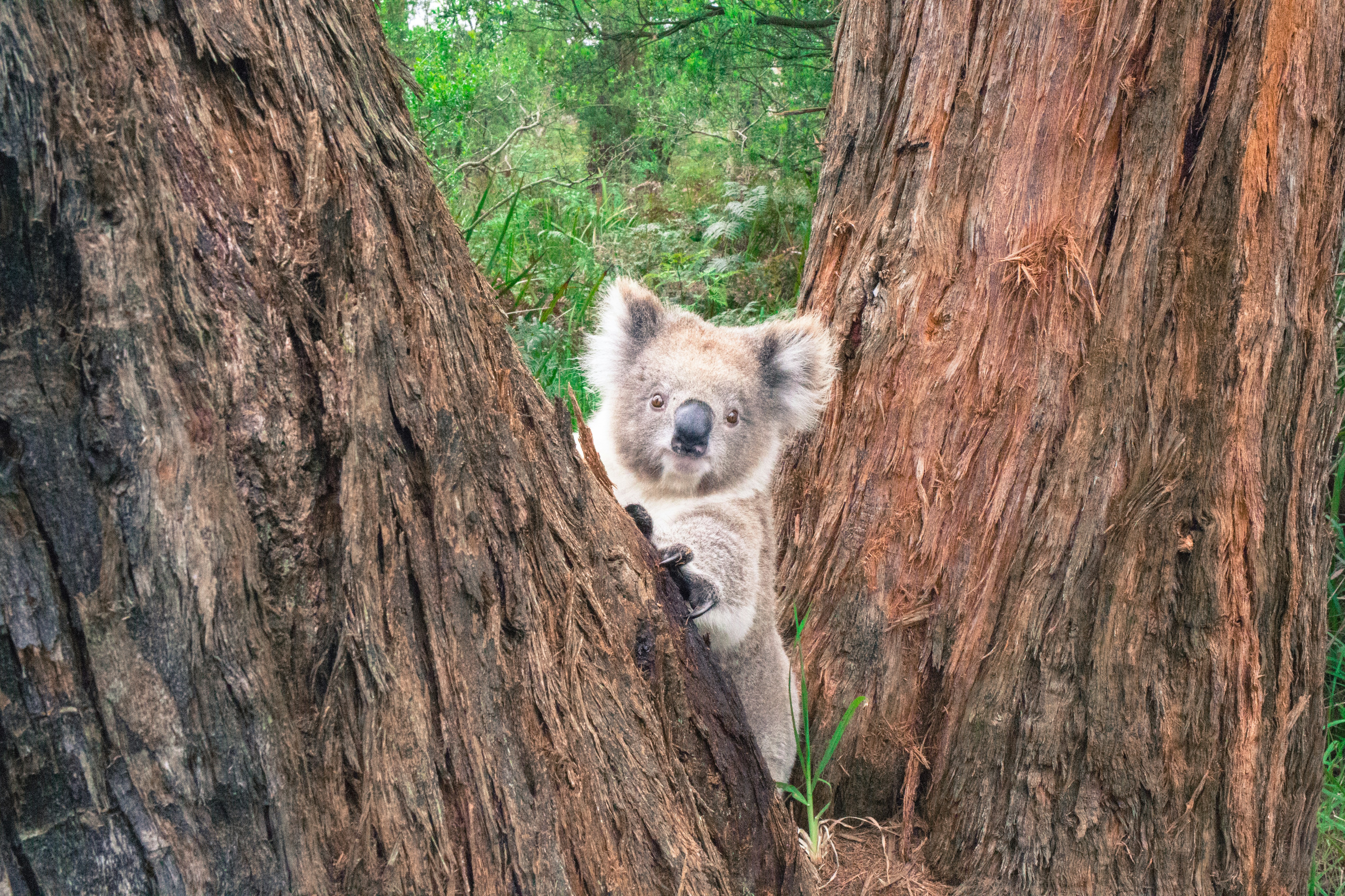 Free Unsplash photo from Dave Edgar