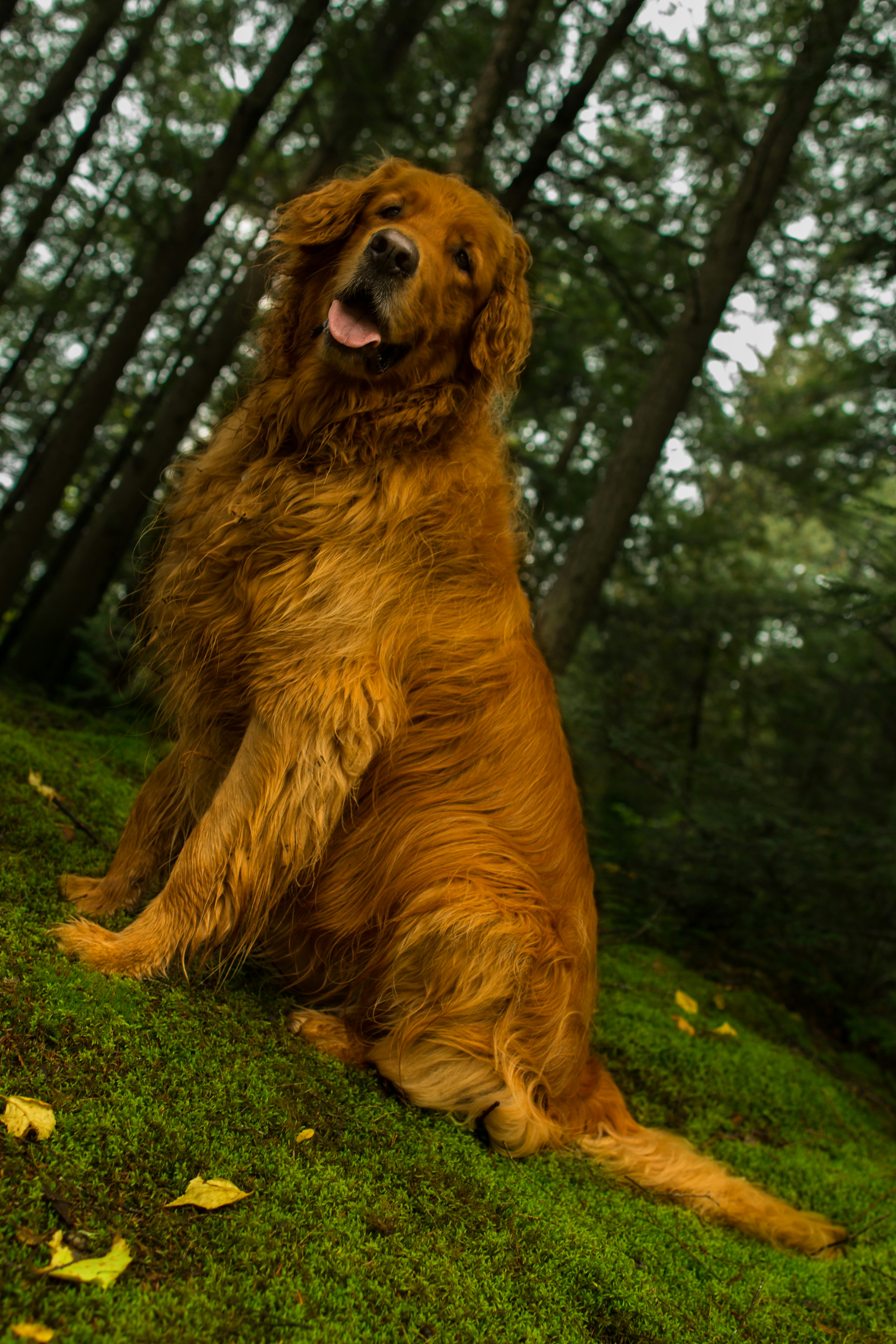 Free Unsplash photo from Jairus Leeson