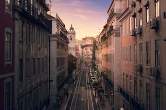 road in them middle of large buildings