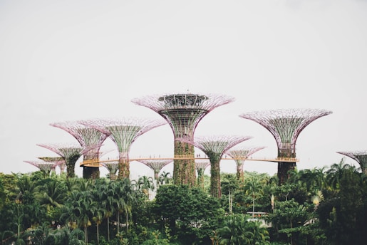 A group of tall, futuristic structures resembling large artificial trees rise from a lush landscape of green foliage. These structures are interconnected with walkways and have a lattice design at the top, allowing light to filter through.