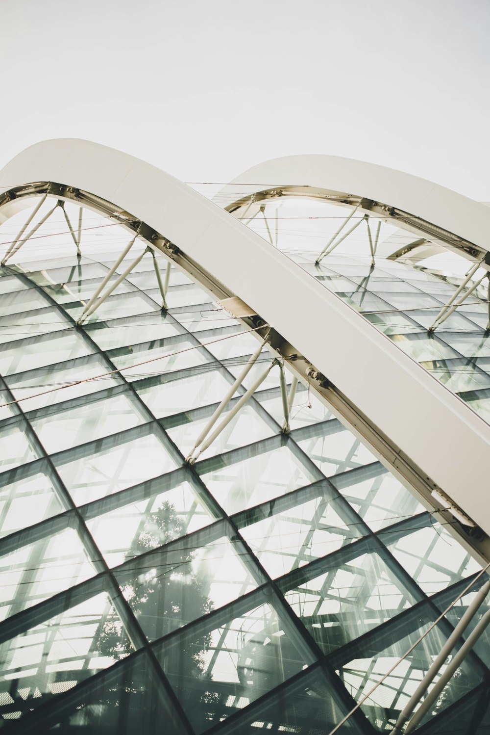 white concrete framed glass building