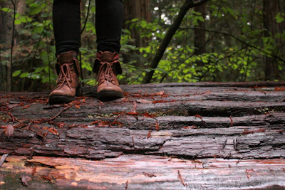 A pair of sturdy, camouflaged hunting boots standing on a forest trail.