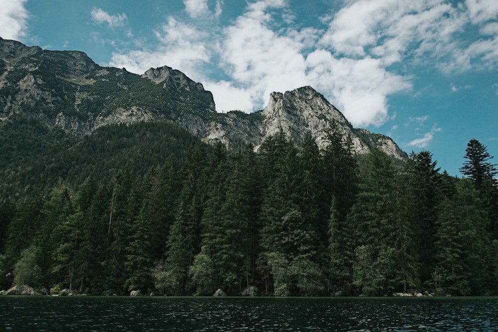 body of water beside forest near gray stone mountain