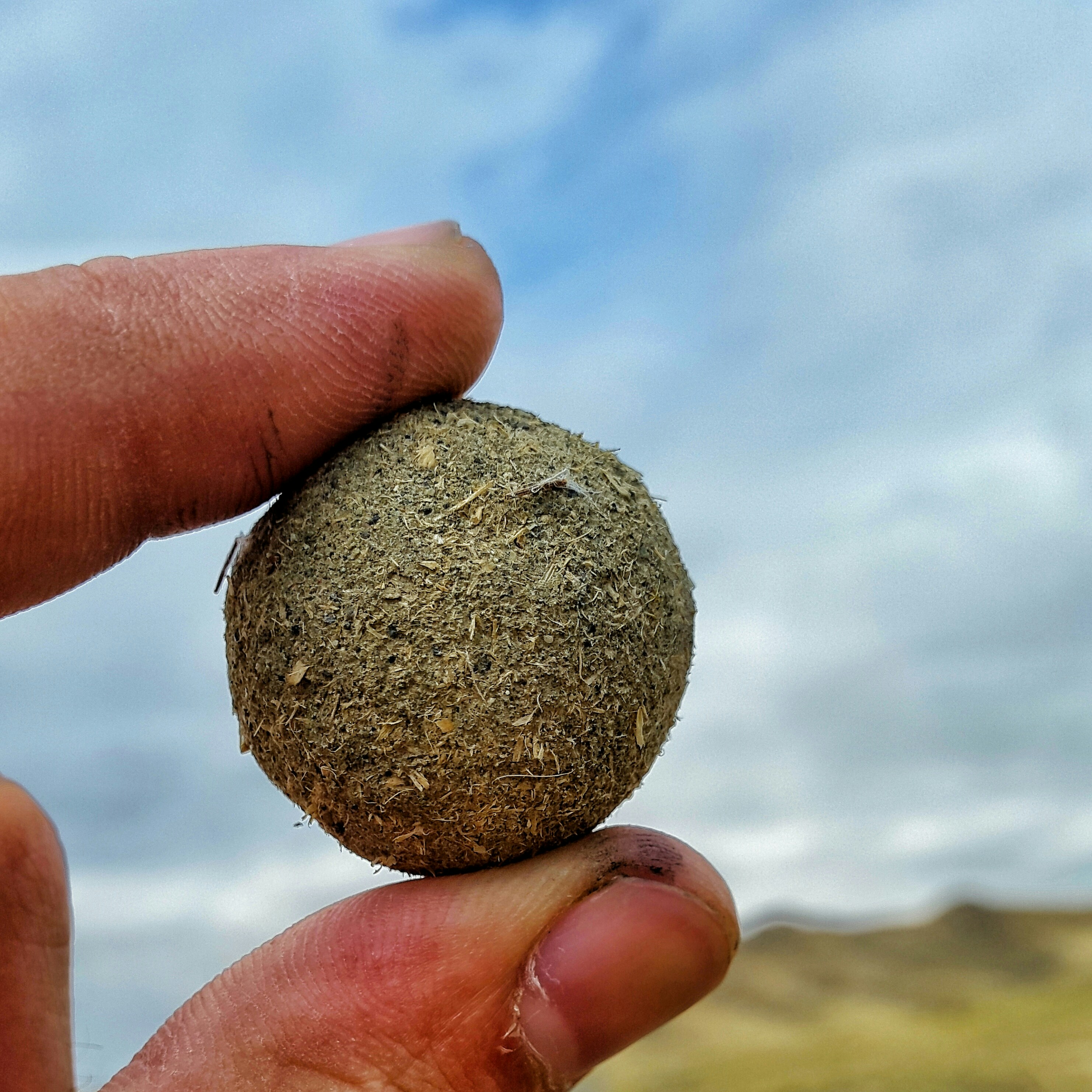 Free Unsplash photo from Mais Matte