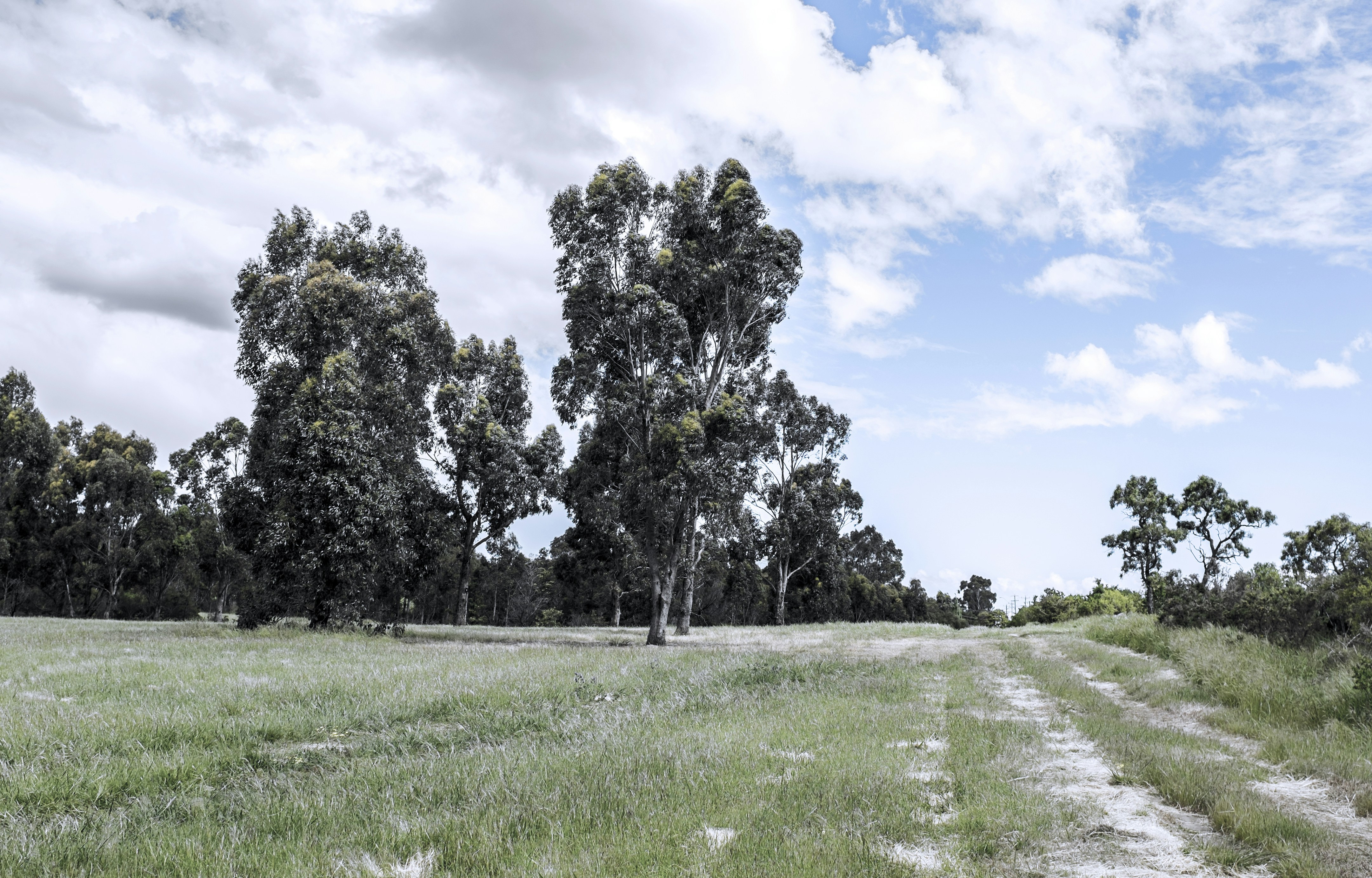 Free Unsplash photo from Ching Thangjam