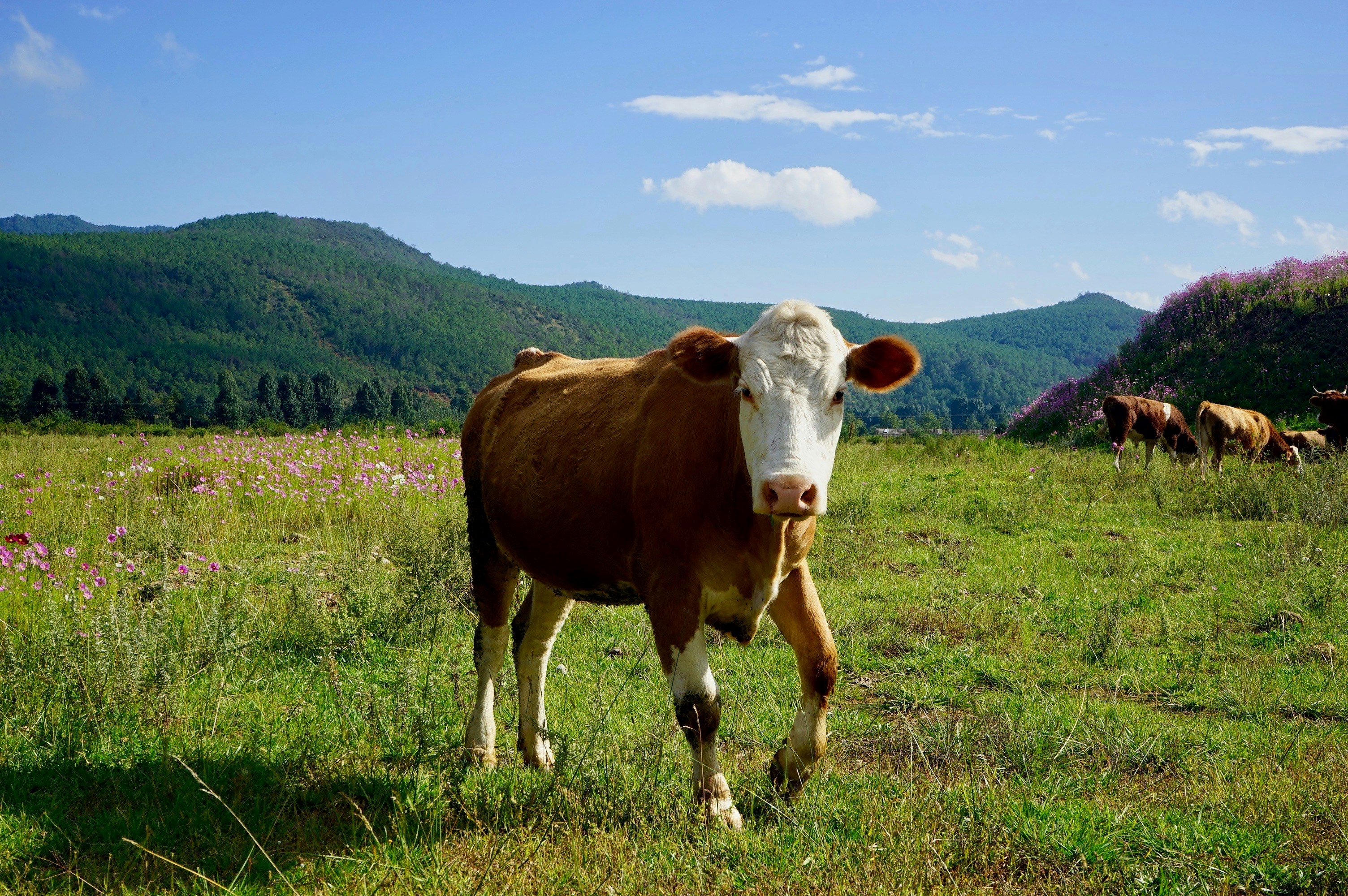 Free Unsplash photo from 正超 安