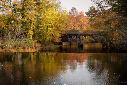 brown wooden house on lake near trees during daytime in Sturbridge United States