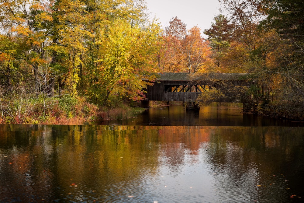 Braunes Holzhaus am See in der Nähe von Bäumen während des Tages