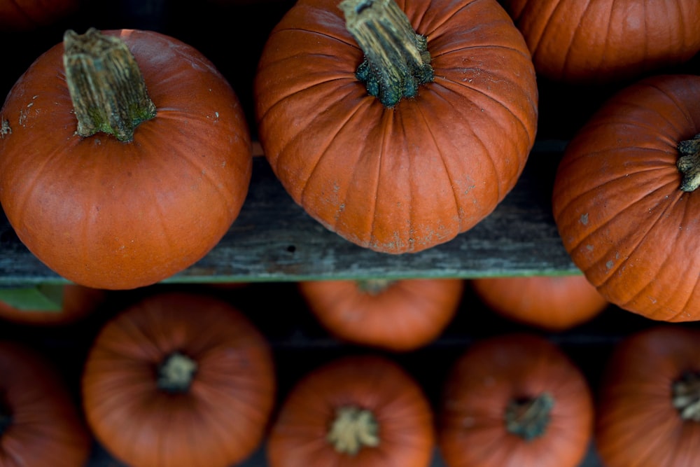 selective focus photography of squash