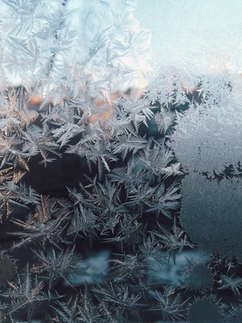 frost not melting due to lack of sun