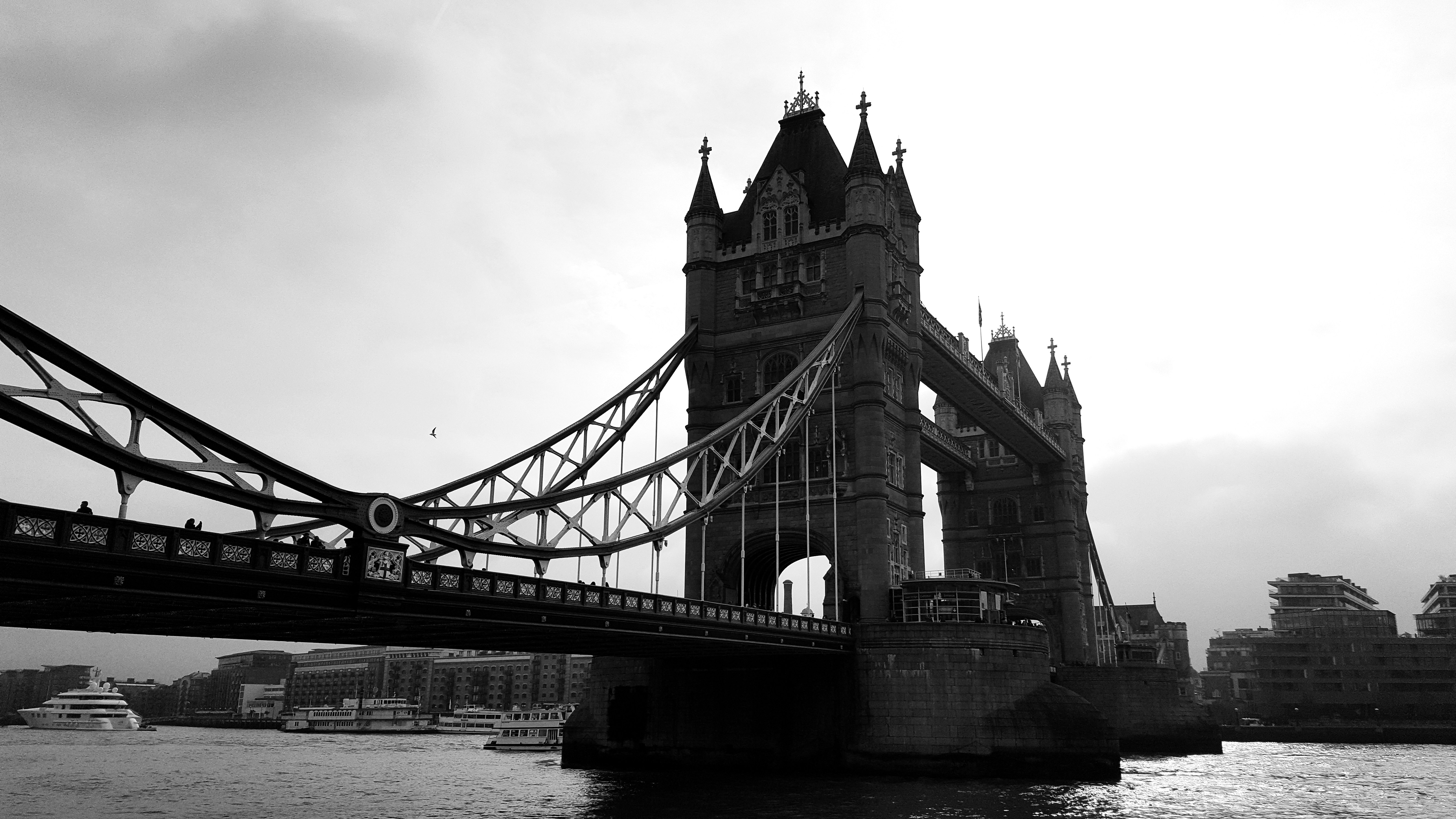 Free Unsplash photo from Majd Seraf