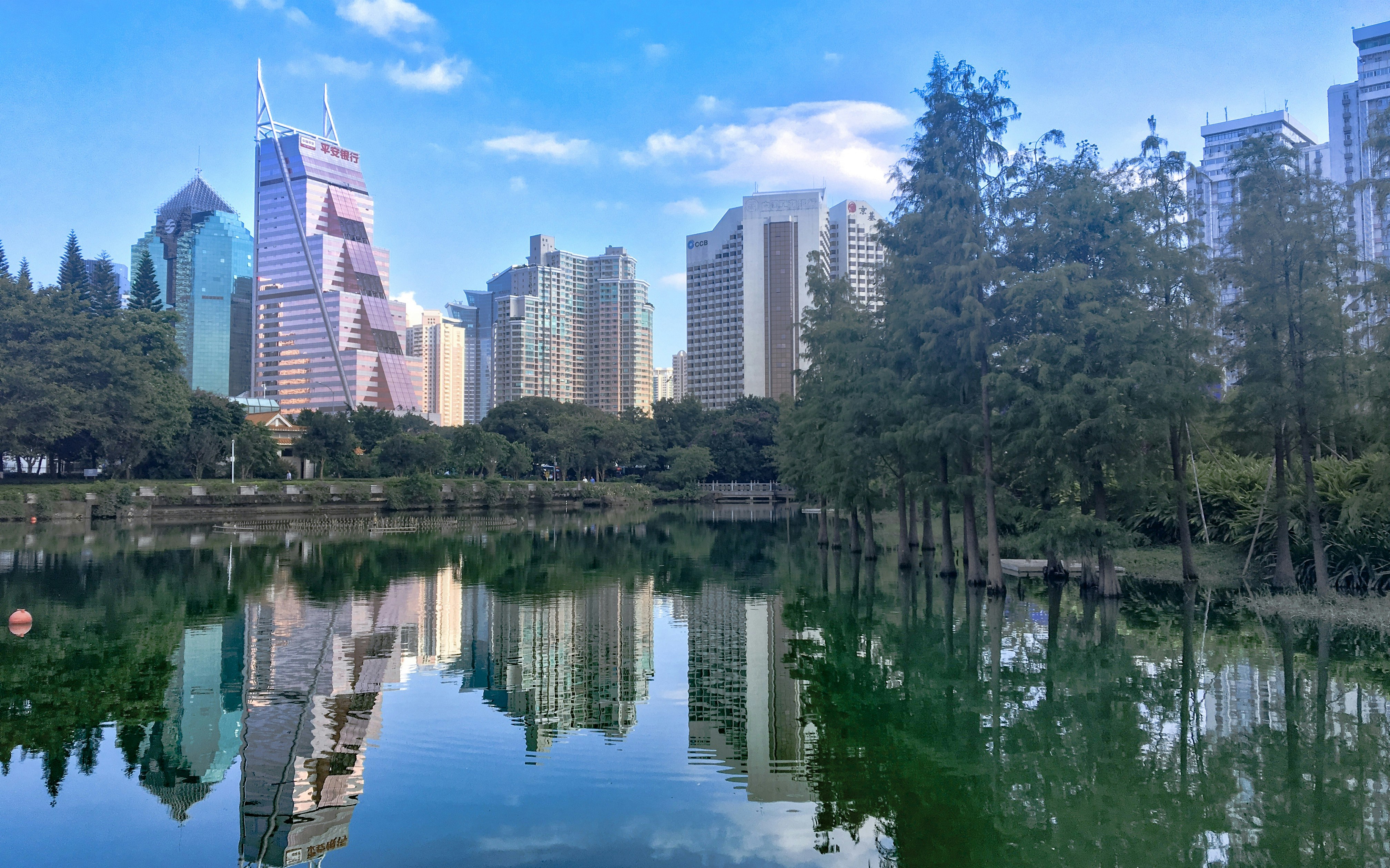 Free Unsplash photo from Robert Xue