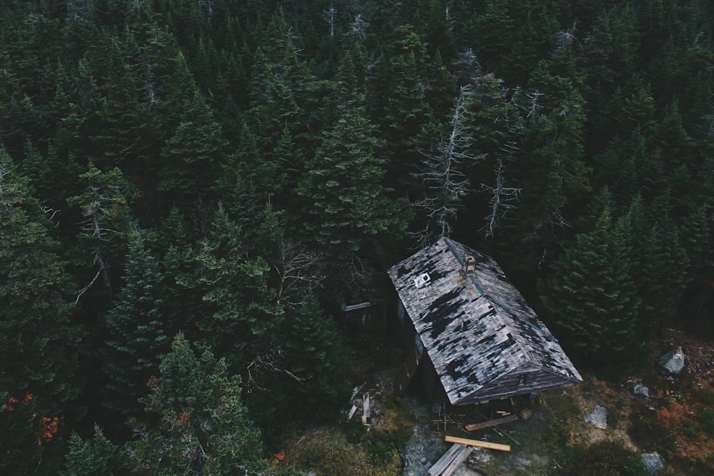 aerial photo of cabin on woods