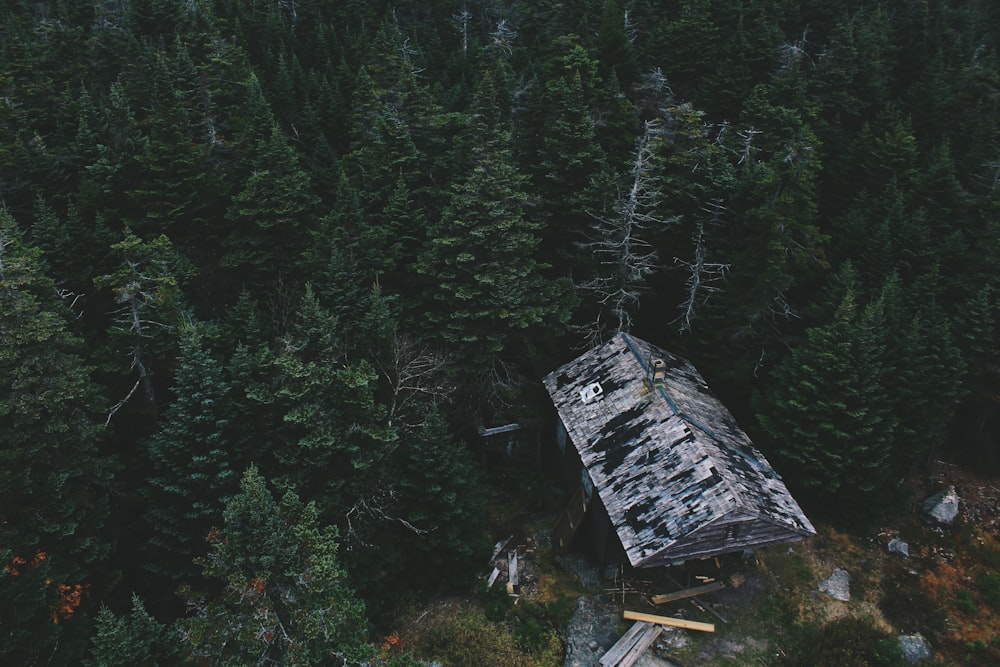 foto aérea da cabine na floresta