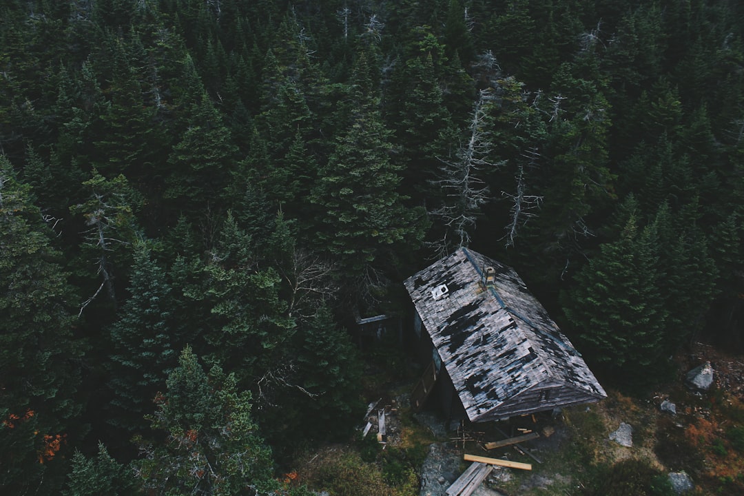 aerial photo of cabin on woods