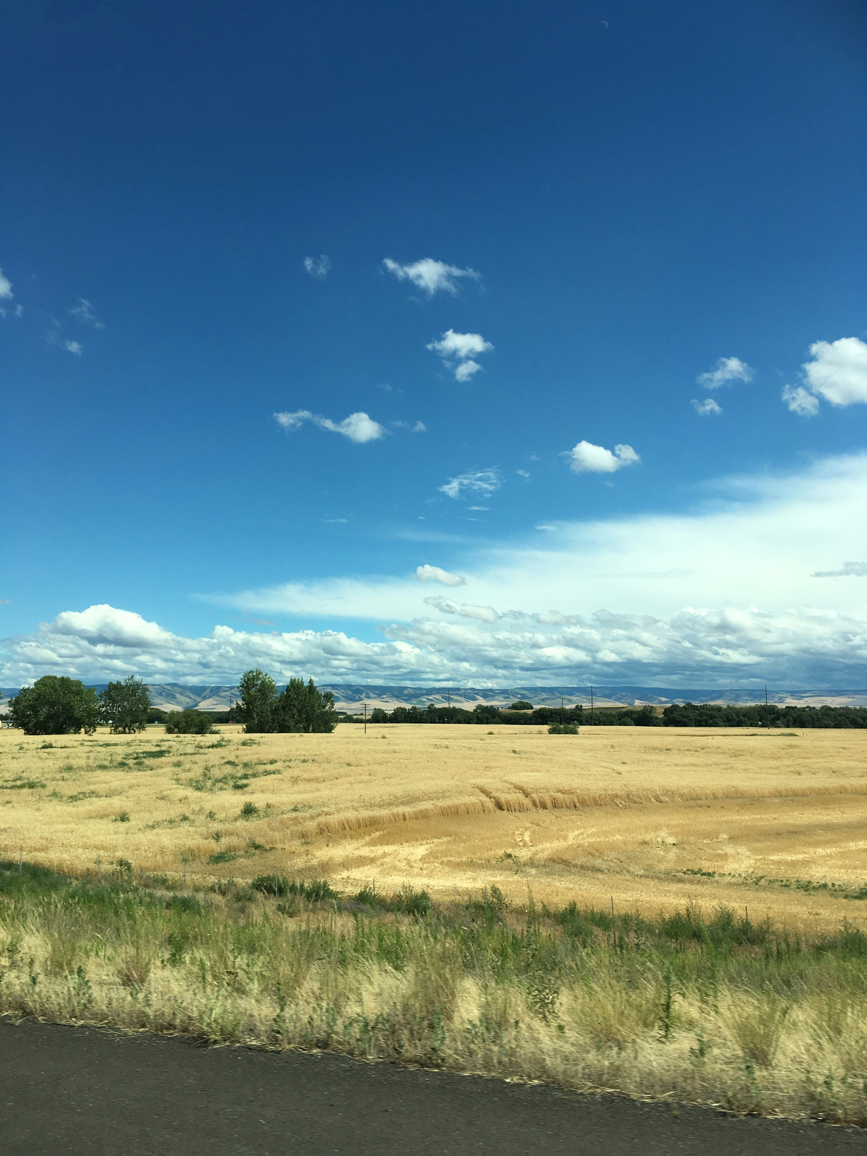 Free Unsplash photo from Jennifer Morris