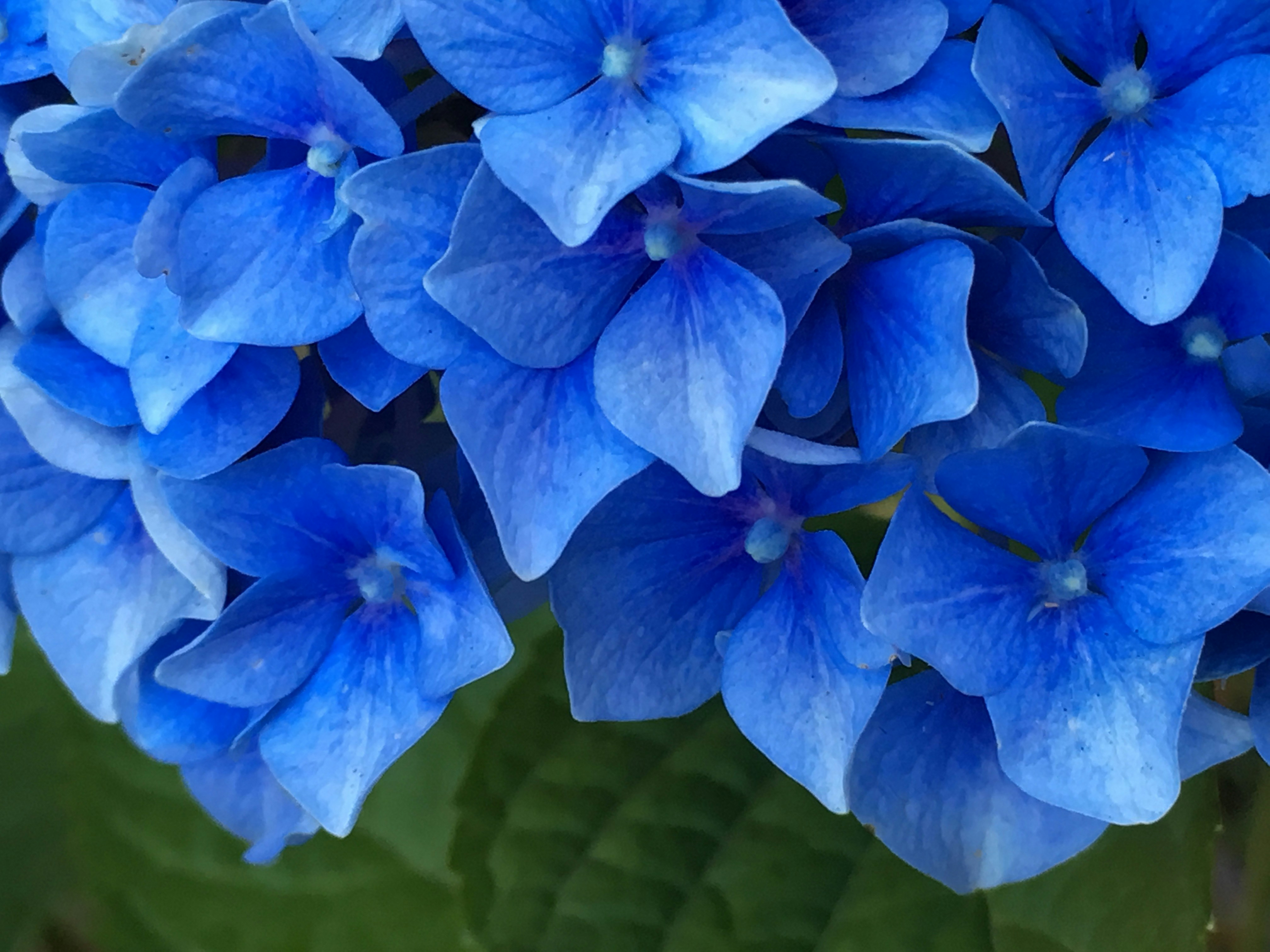 Free Unsplash photo from Jennifer Morris