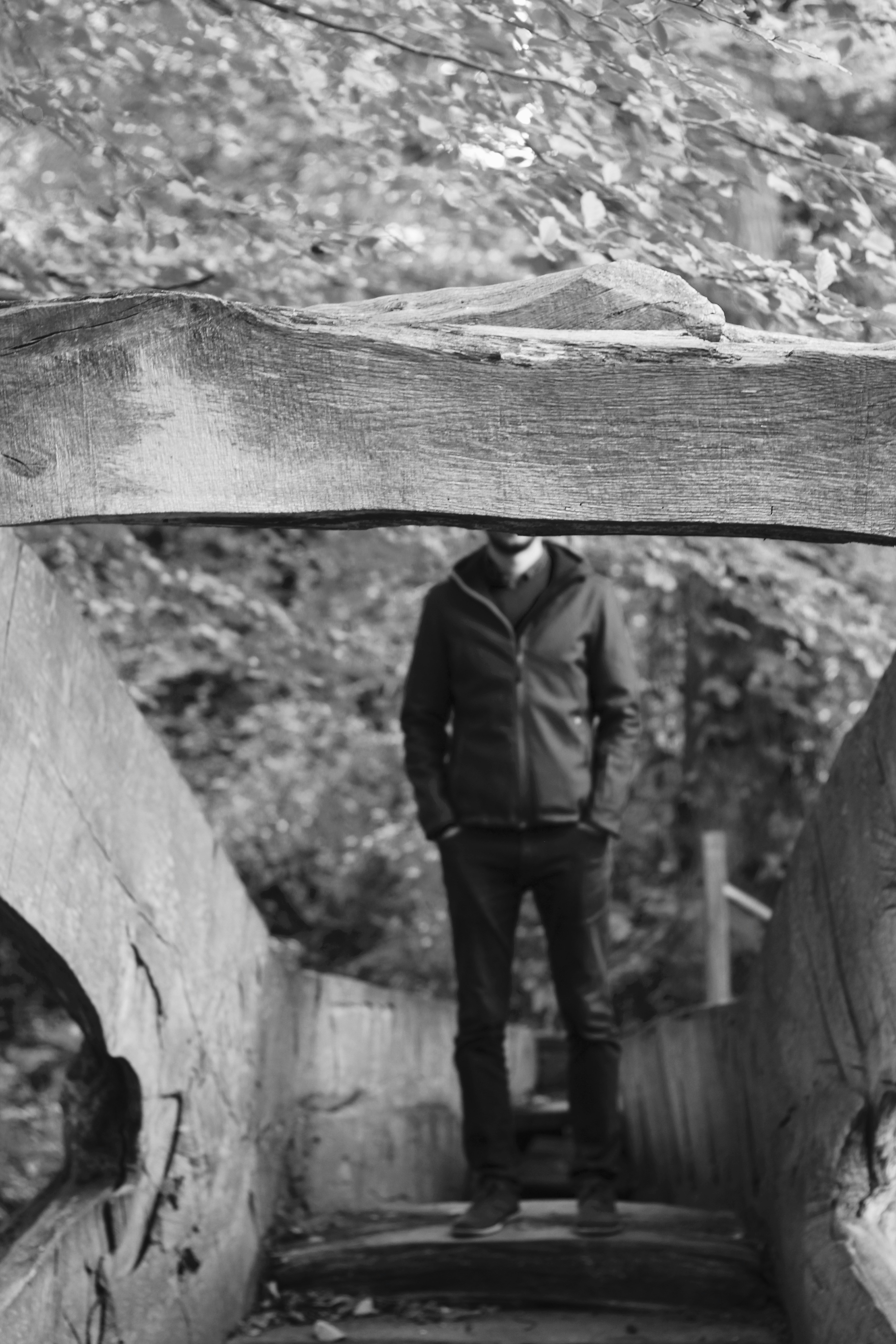 Free Unsplash photo from Lili Lieber-Lövei