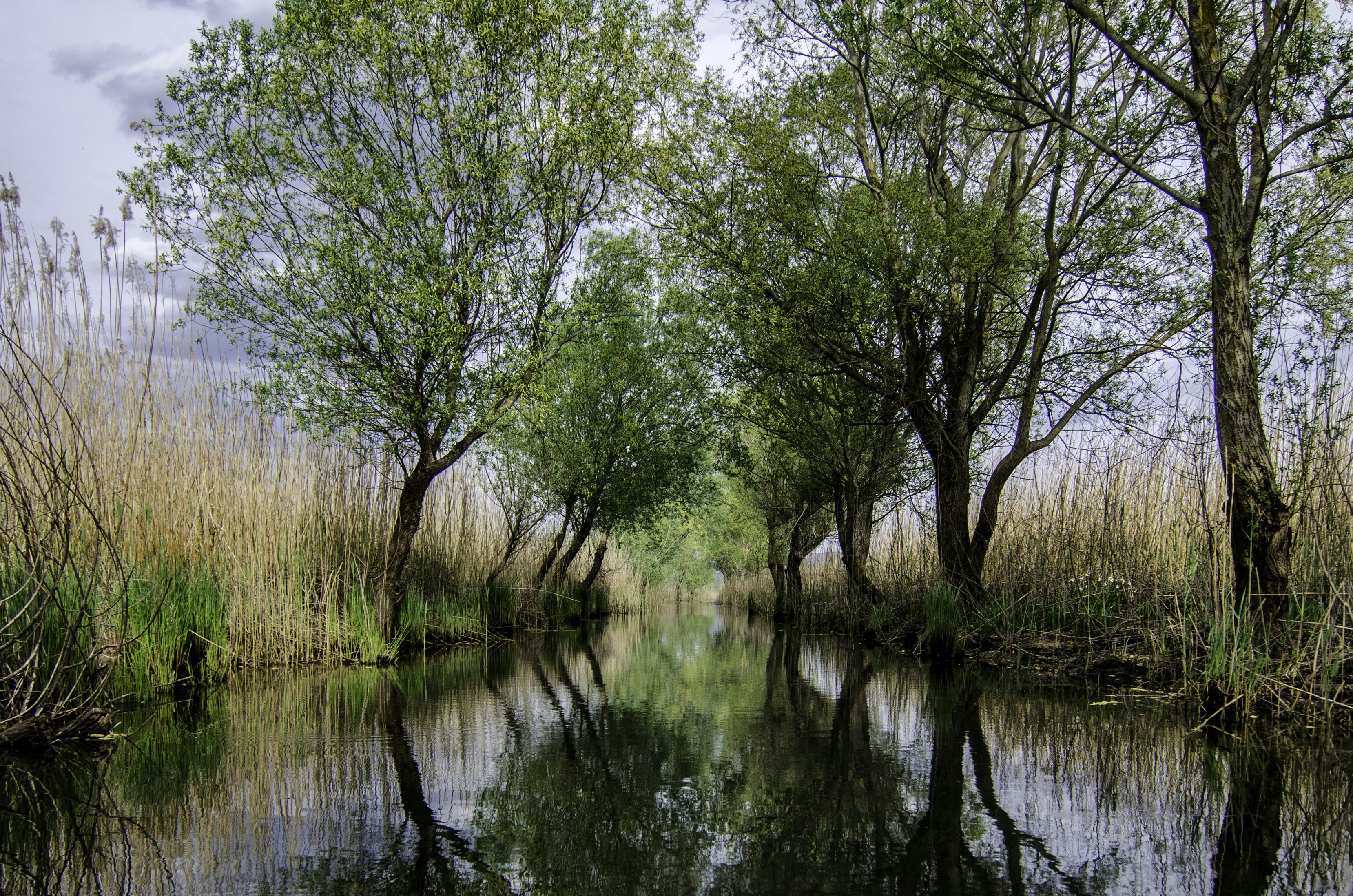 Free Unsplash photo from Kristina M M