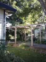 A wooden pergola structure stands in a garden, surrounded by lush green foliage and trees. The scene is bright and sunlit, with shadows cast by the leaves. The pathway beneath the pergola is bordered by various plants.