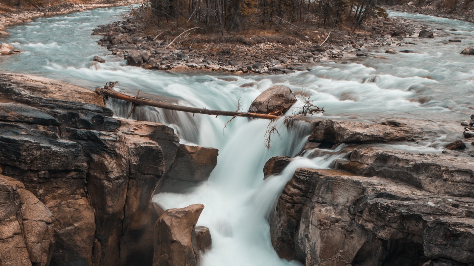 nature and water