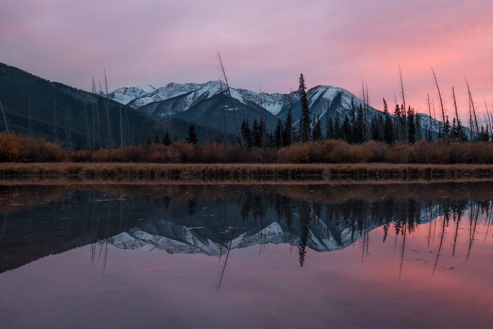 landscape photography of lake