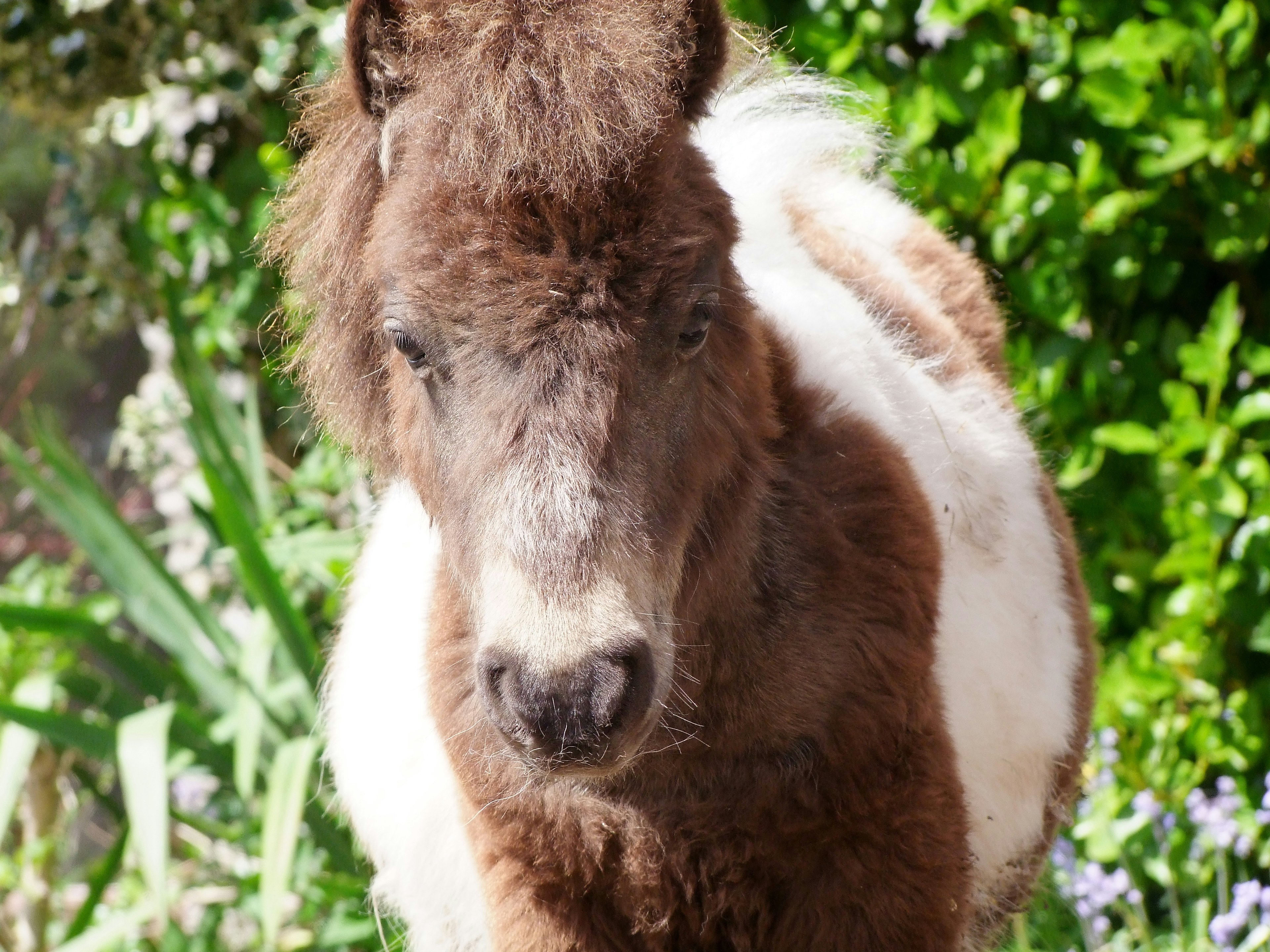 Free Unsplash photo from Geoff Beattie