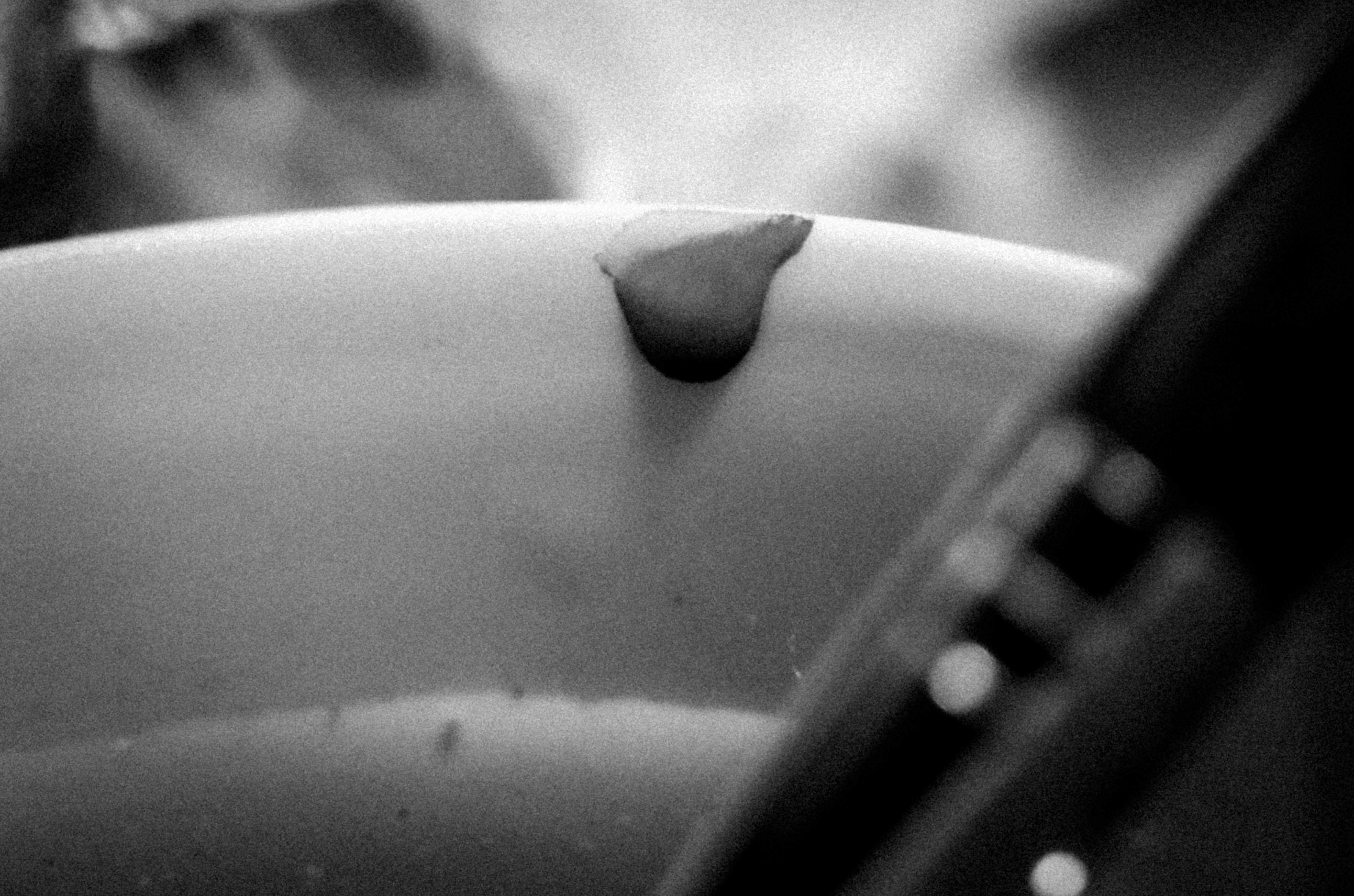 Free Unsplash photo from Ione Valdezate