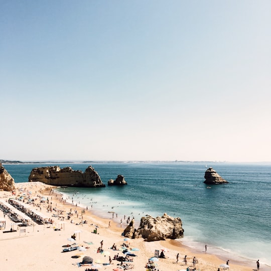 people on seashore during daytime in Praia Dona Ana Portugal