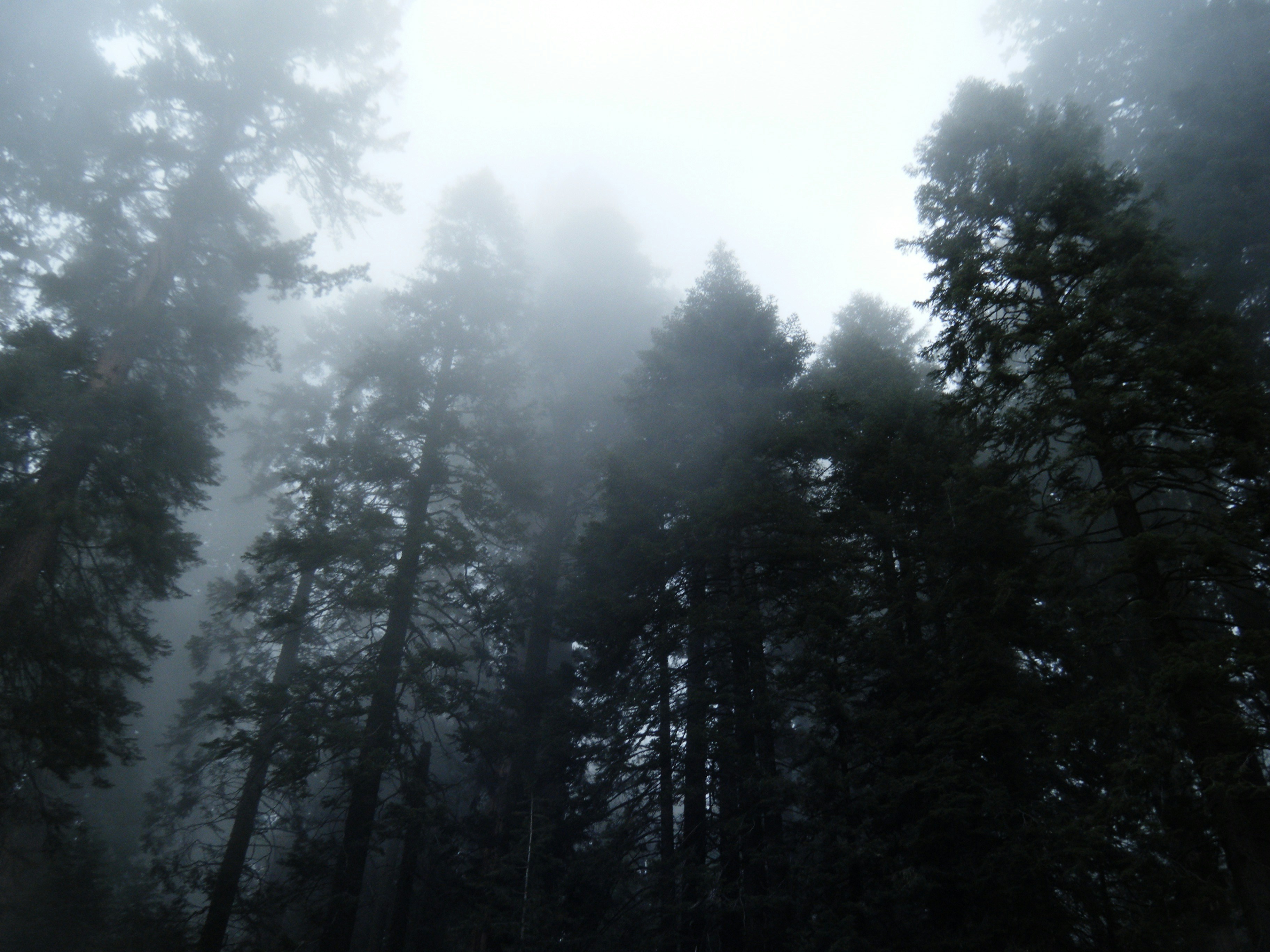 Free Unsplash photo from Stacy Weber