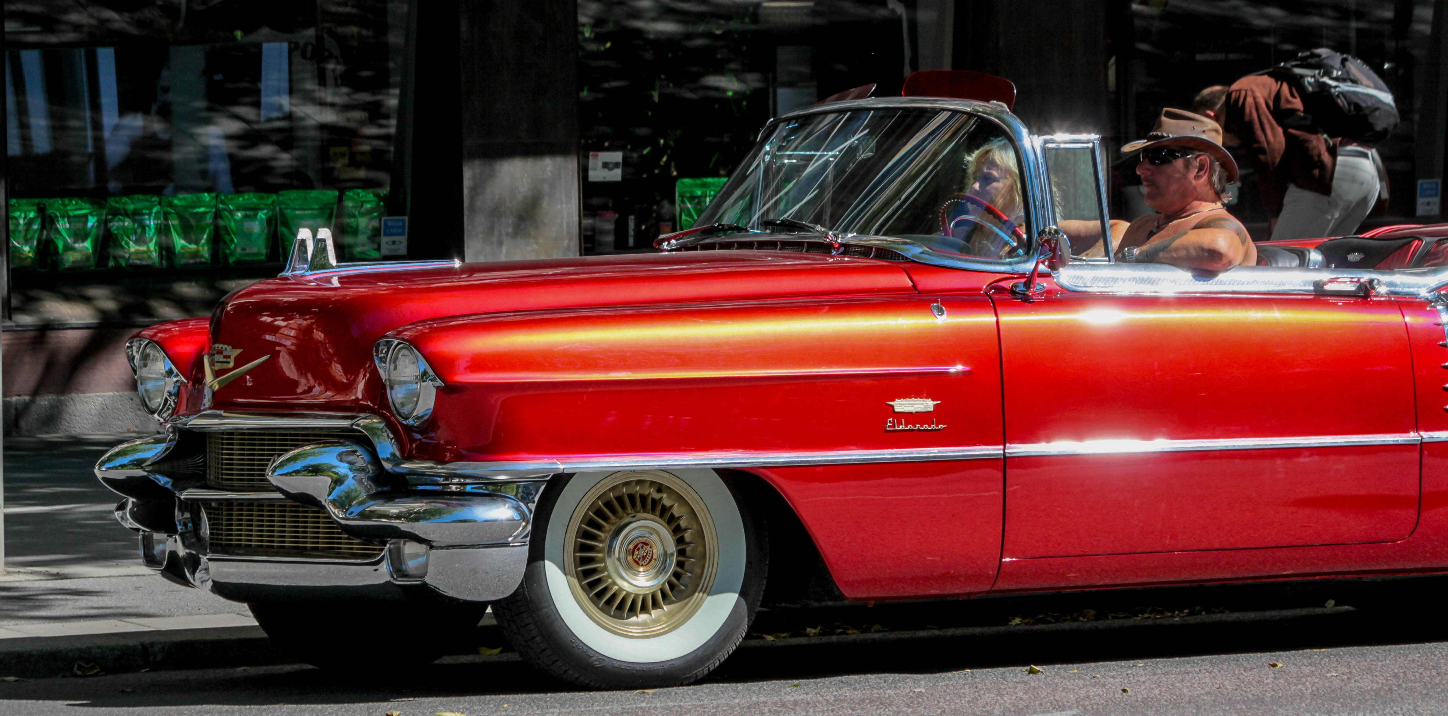 Free Unsplash photo from PHOTODIGITAL CANON