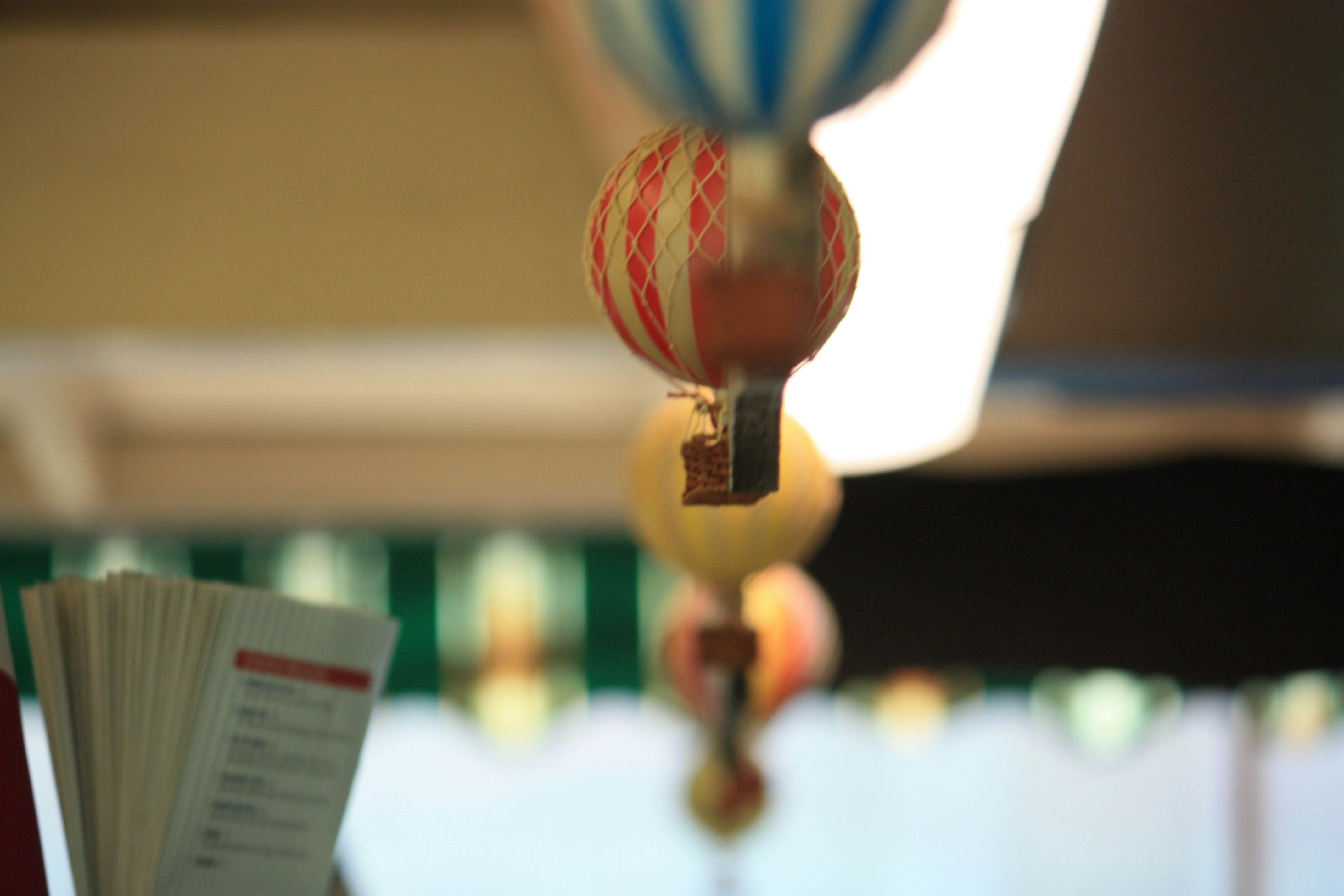 Free Unsplash photo from lucine elise