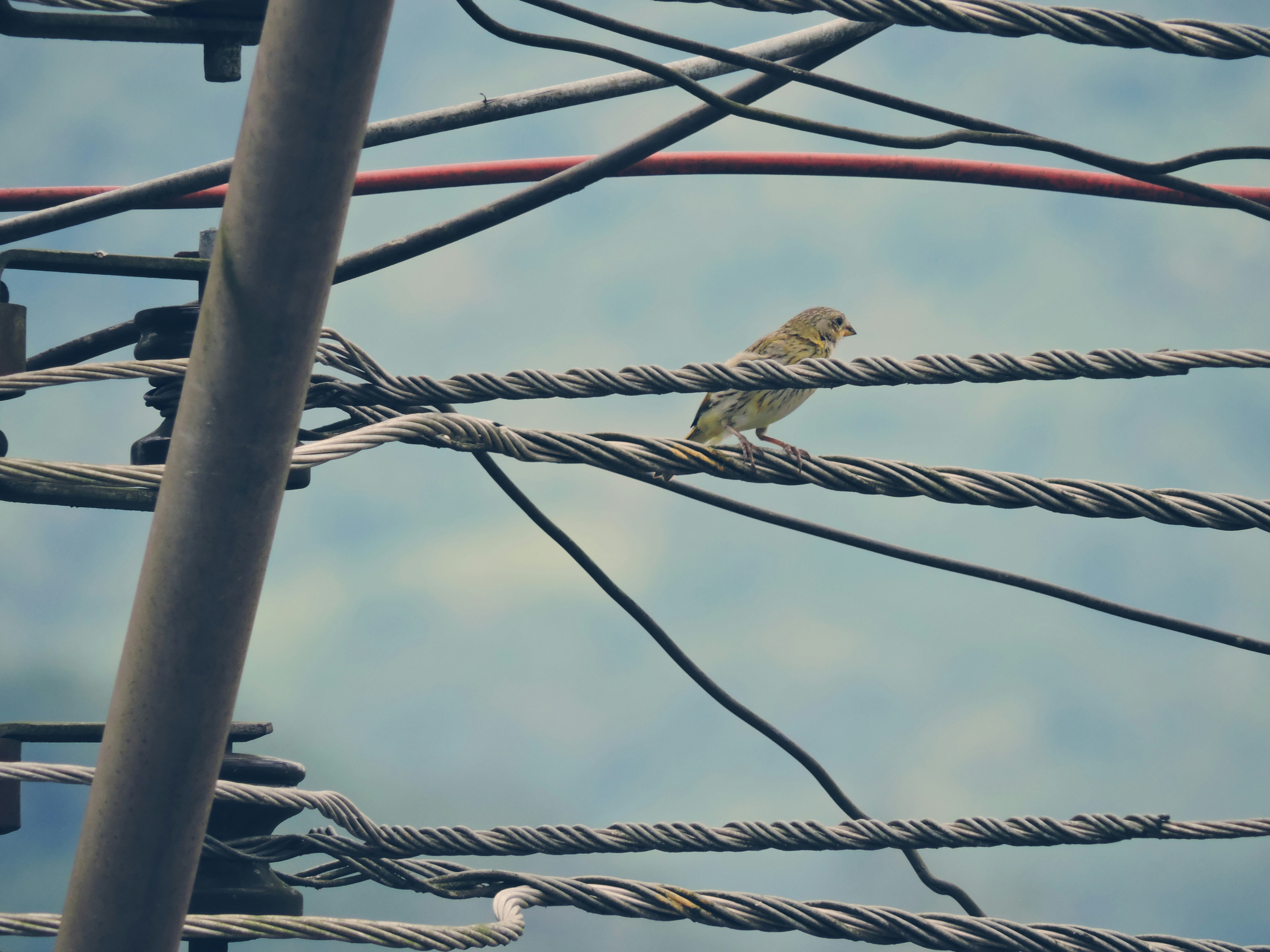 Free Unsplash photo from Ariane Hackbart