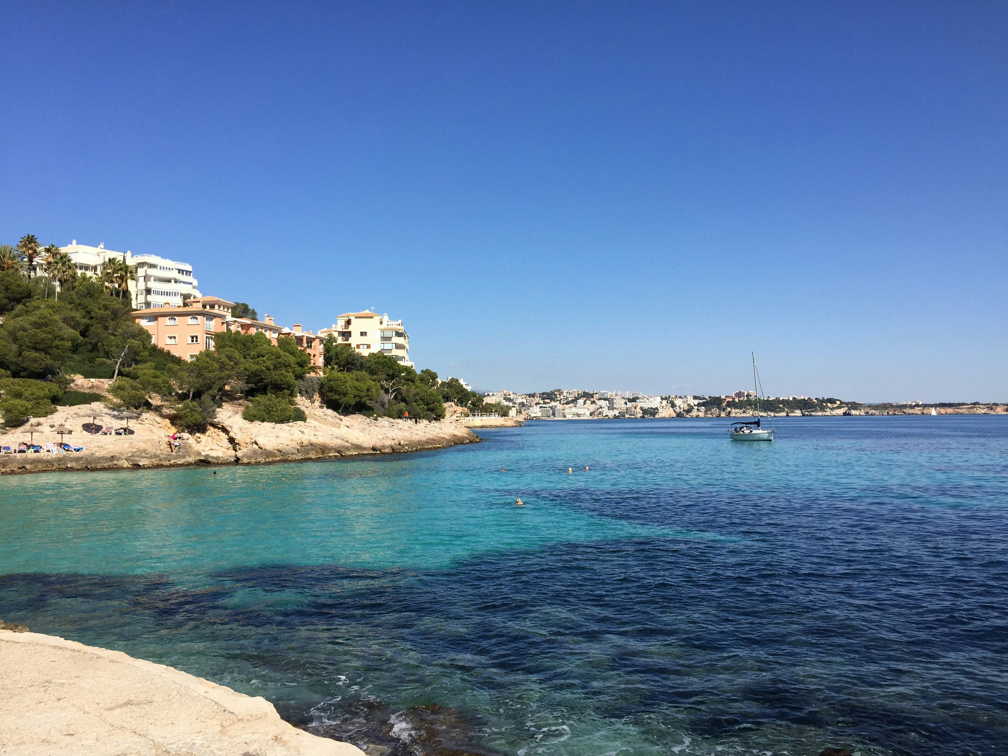 Free Unsplash photo from Betsaida Cruz