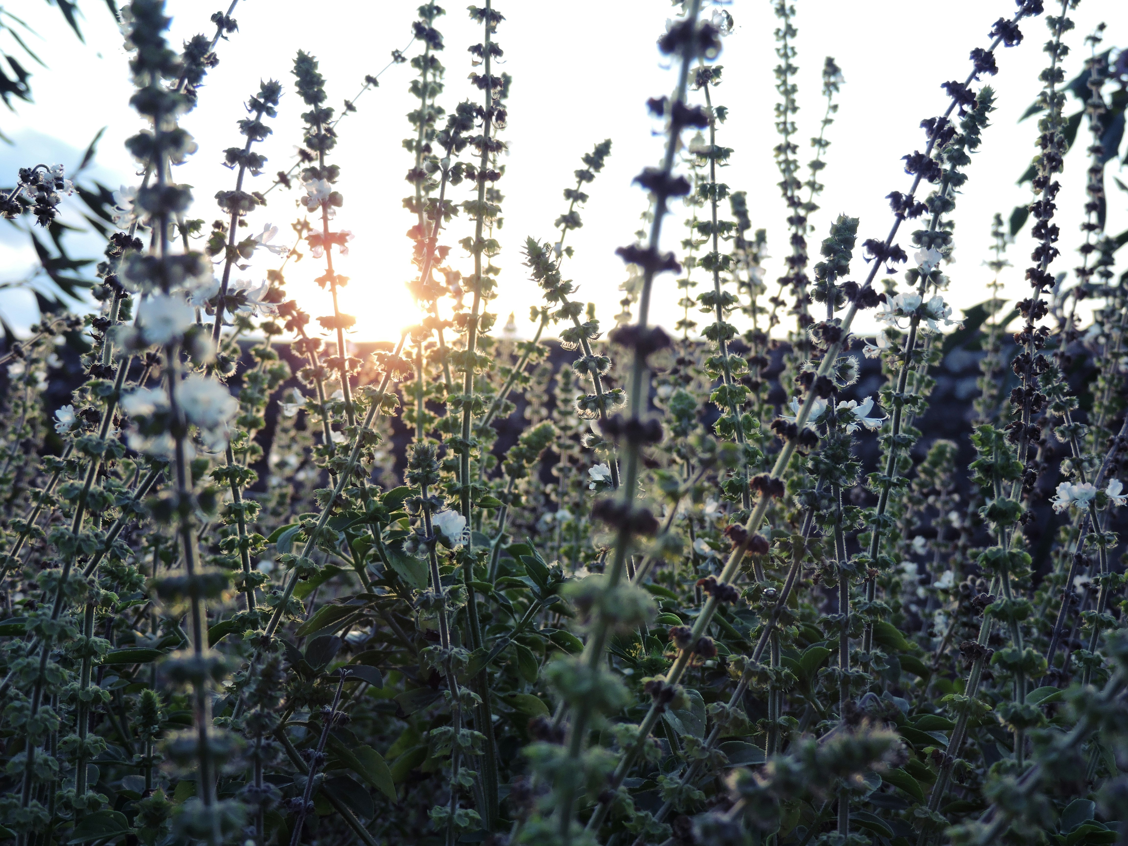 Free Unsplash photo from Ariane Hackbart