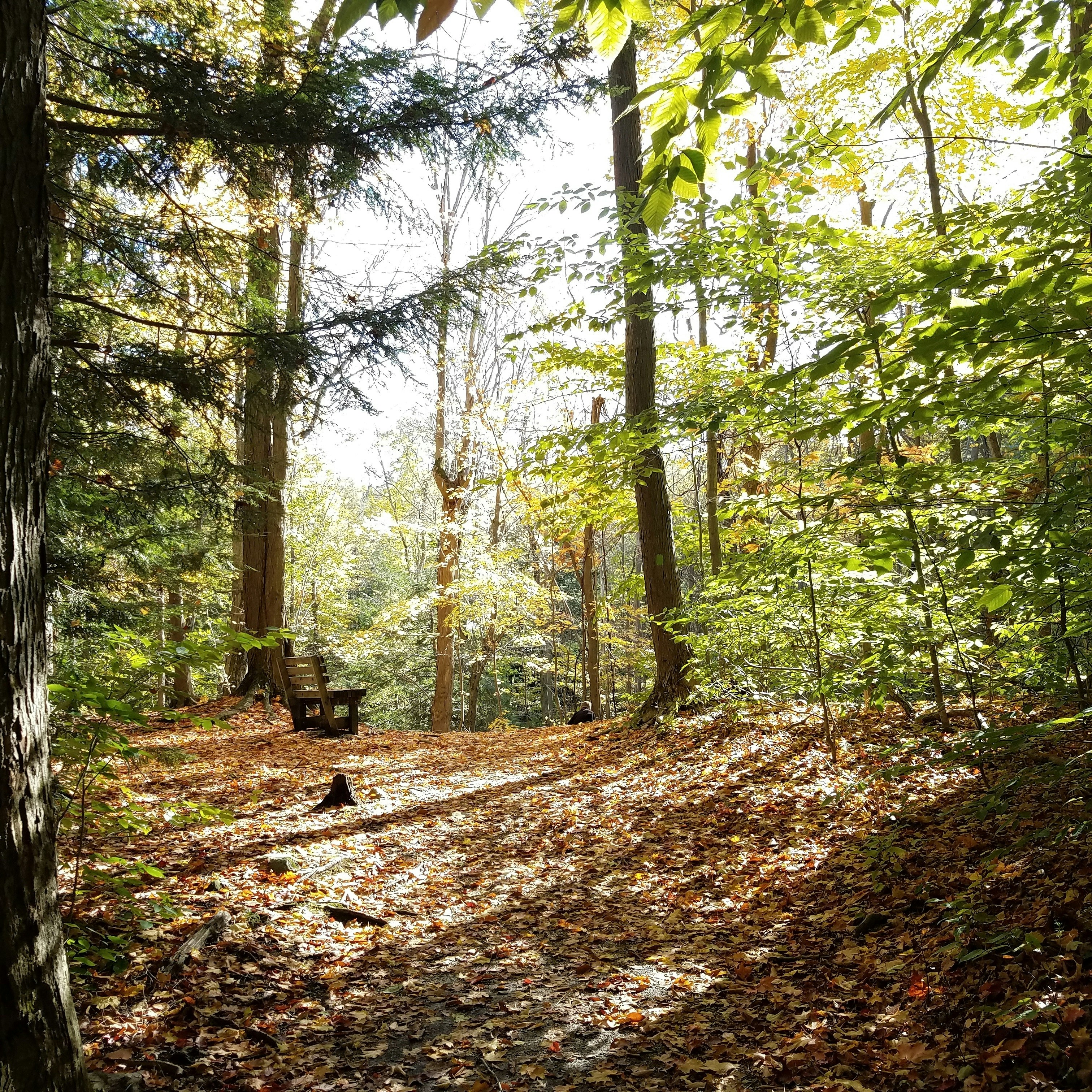 Free Unsplash photo from Josiah Perino