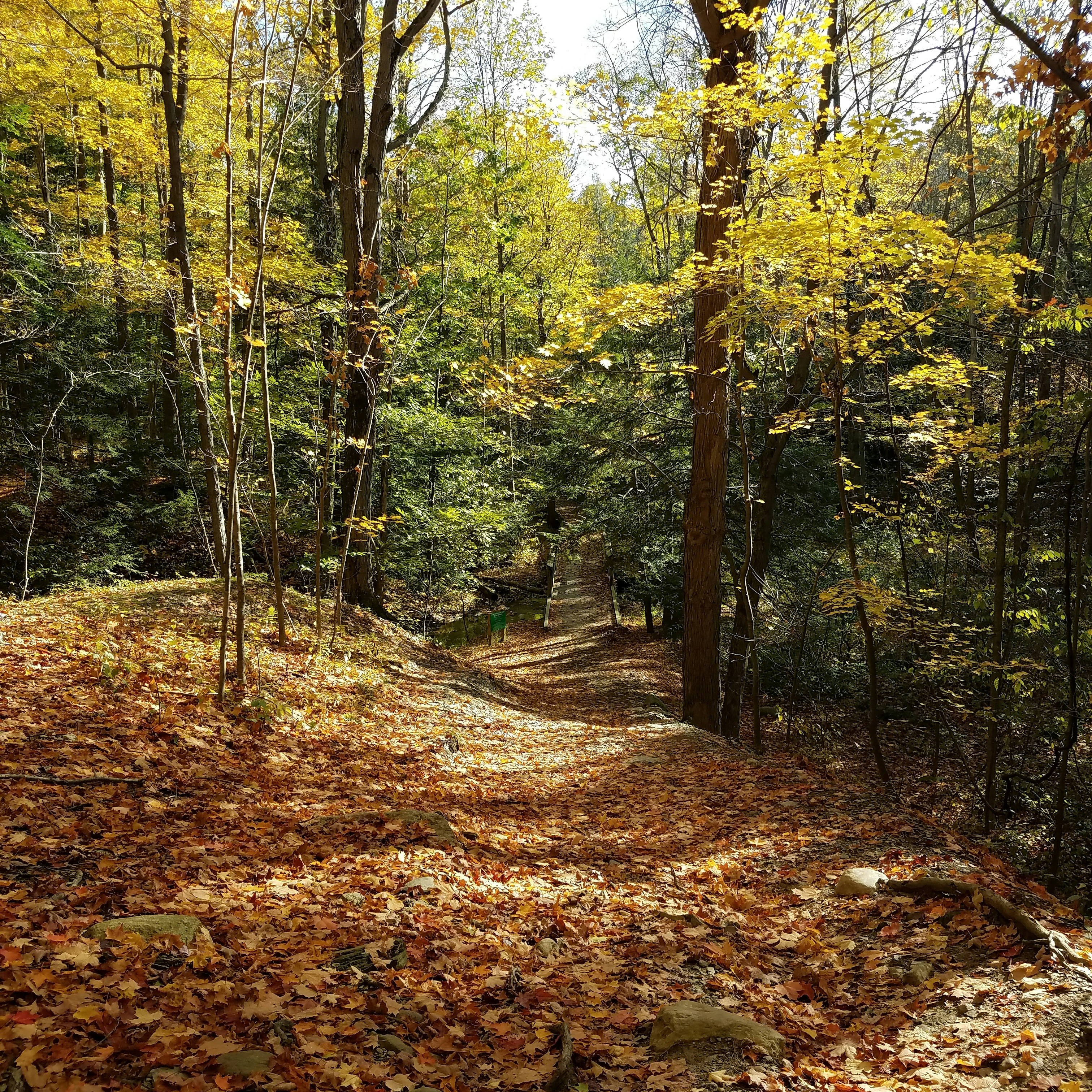 Free Unsplash photo from Josiah Perino