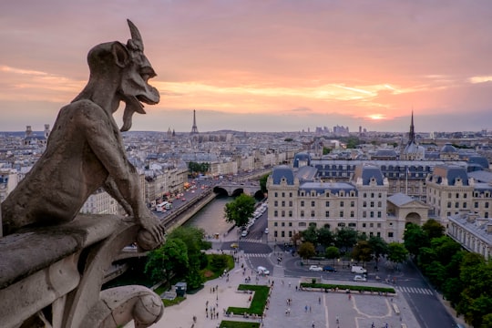 gargoyle over street in Square Jean XXIII France