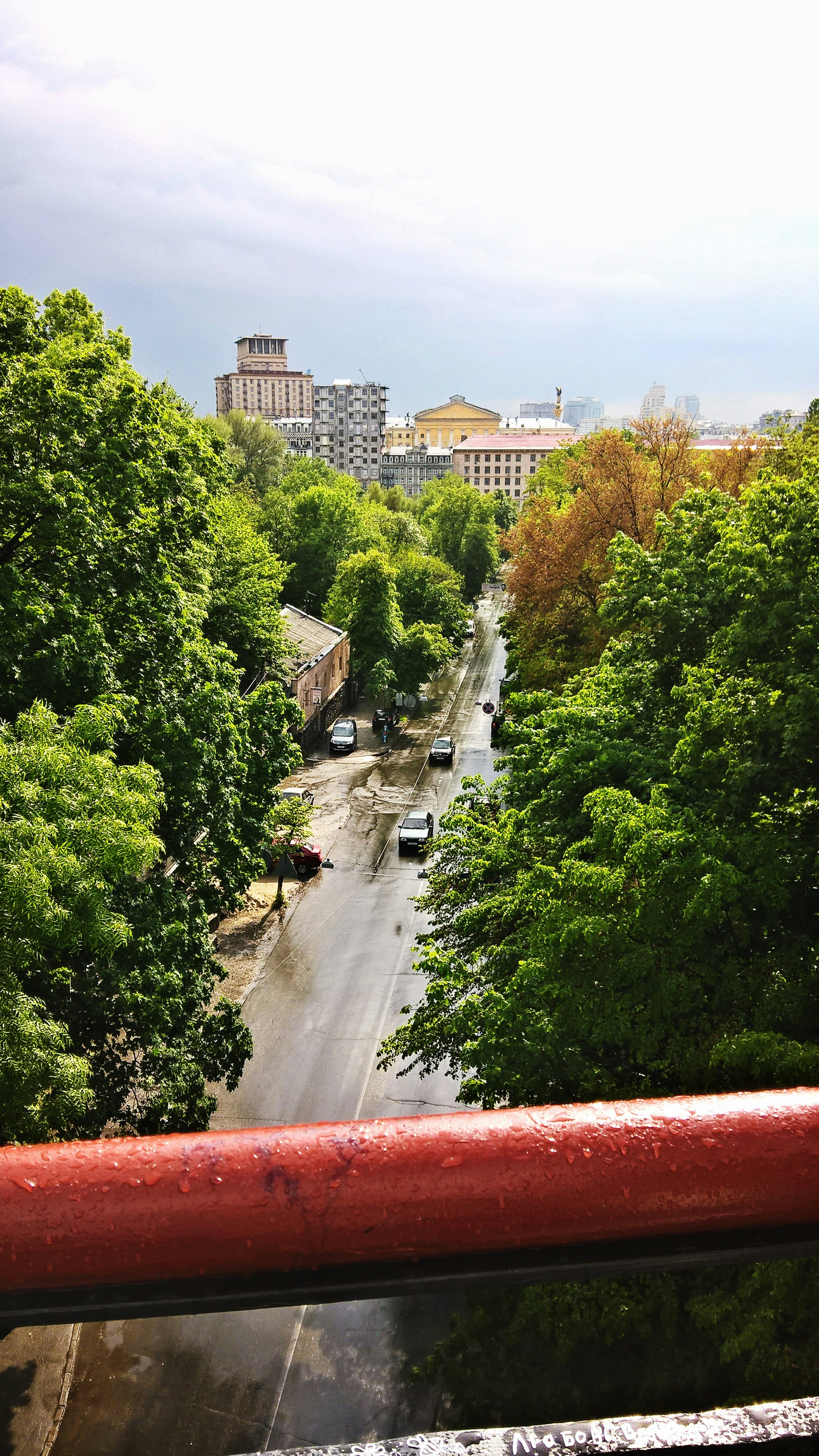 Free Unsplash photo from Ann Romanovych