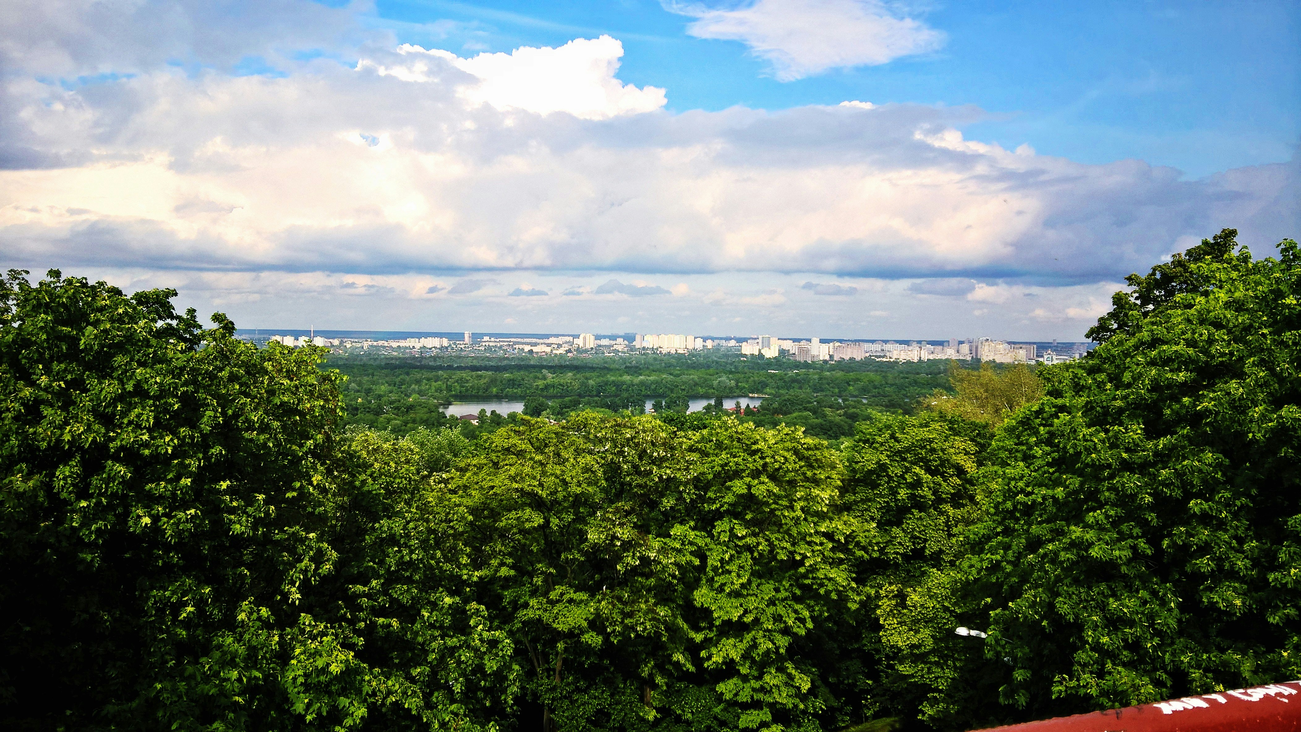 Free Unsplash photo from Ann Romanovych