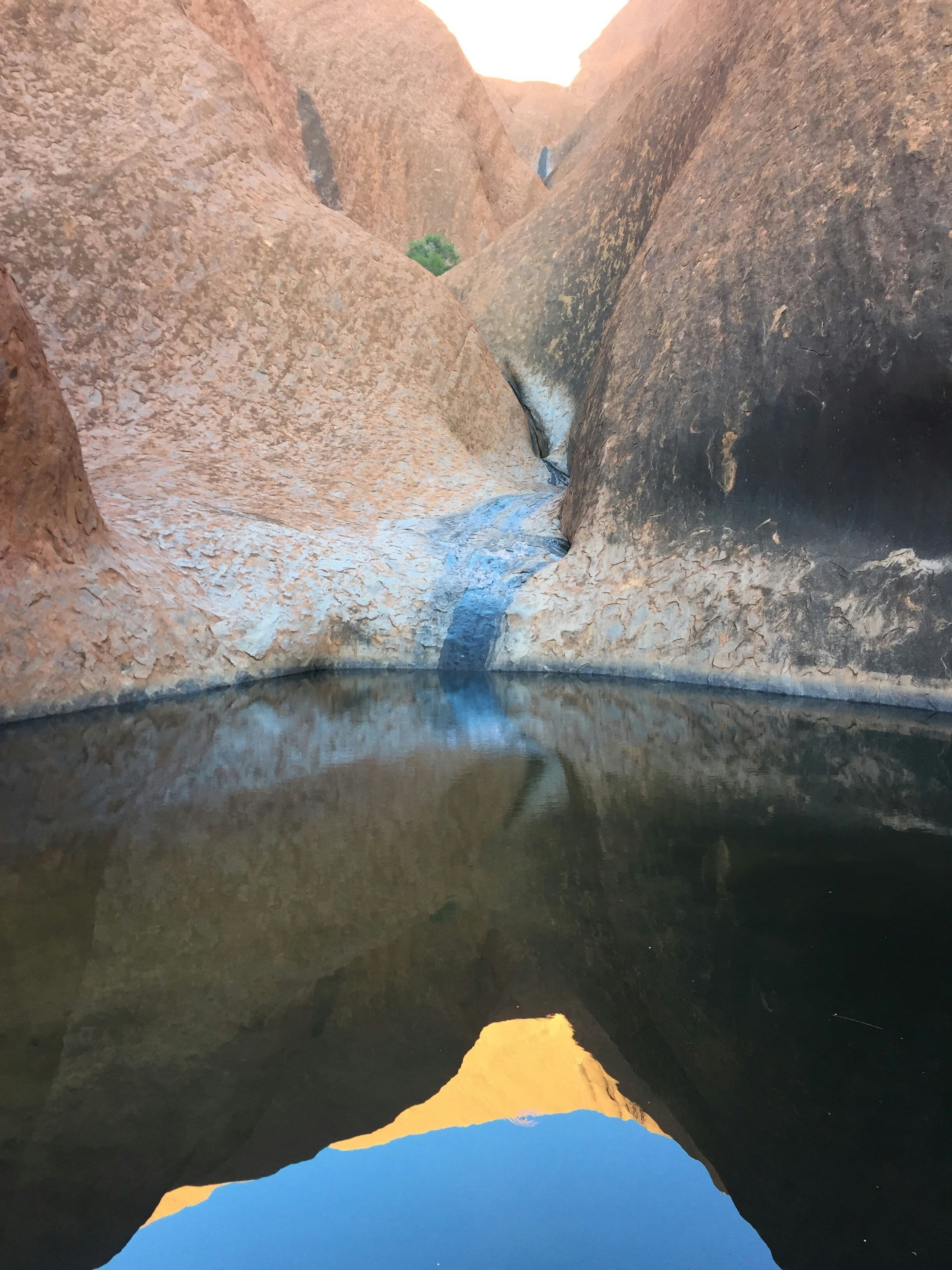 Free Unsplash photo from Darren Lott