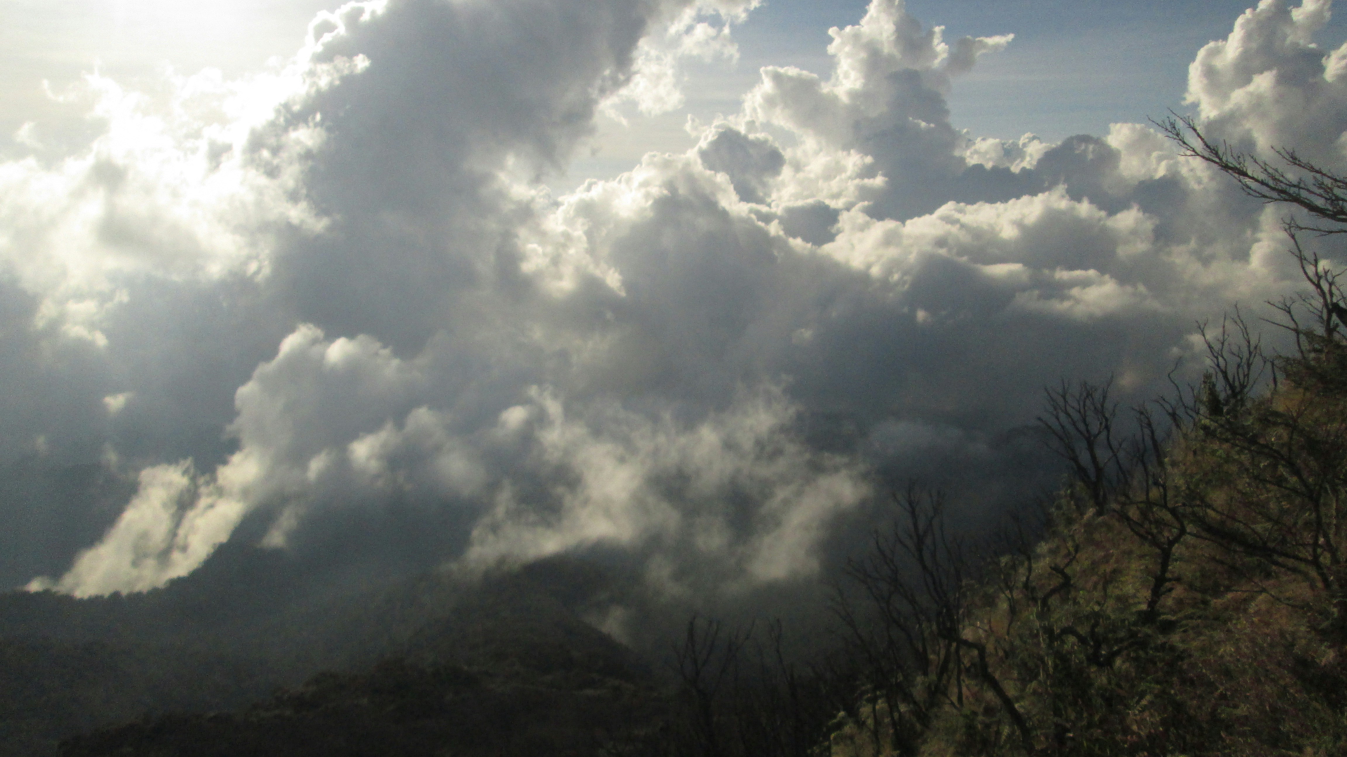 Free Unsplash photo from Wahyu Said