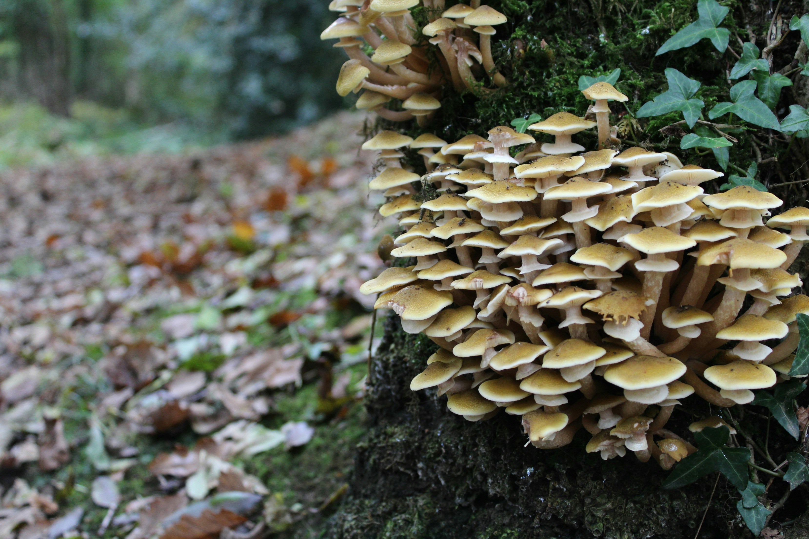 Free Unsplash photo from Kate Williams