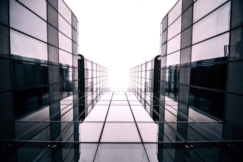 grayscale photography of glass pathway